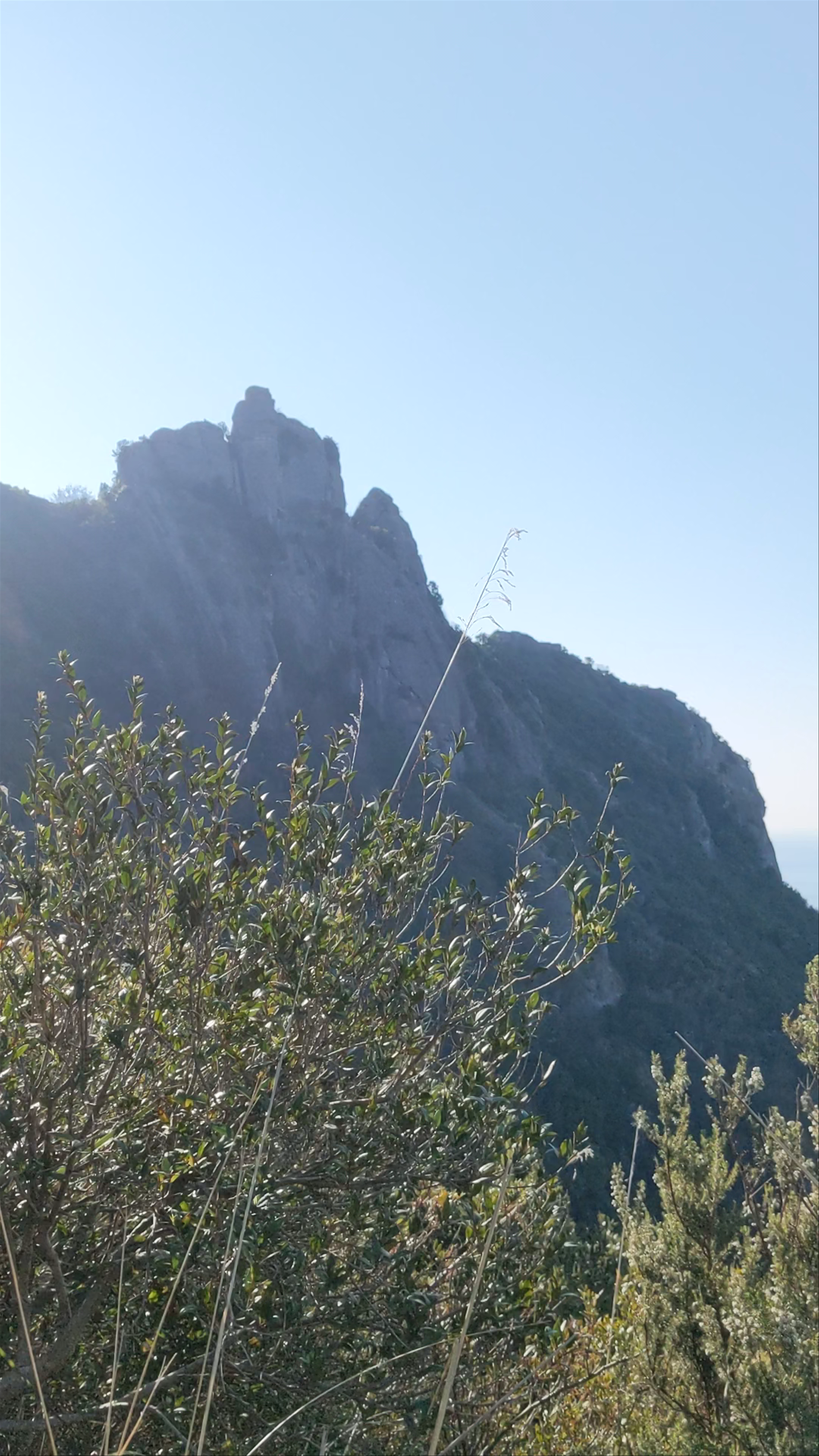Punta Chiappa Batteries