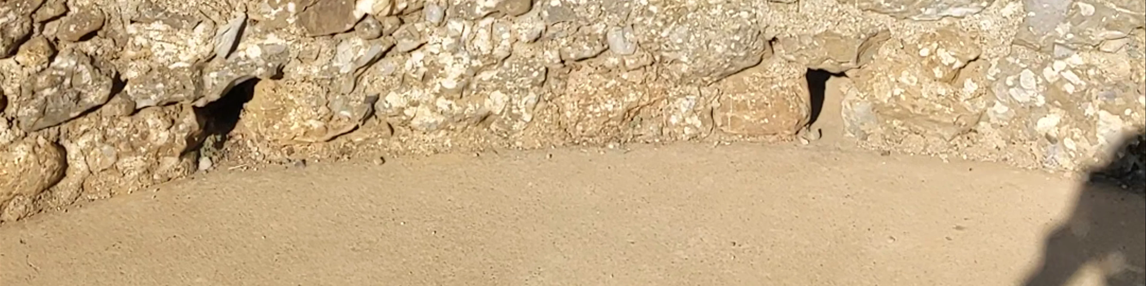 Punta Chiappa Batteries