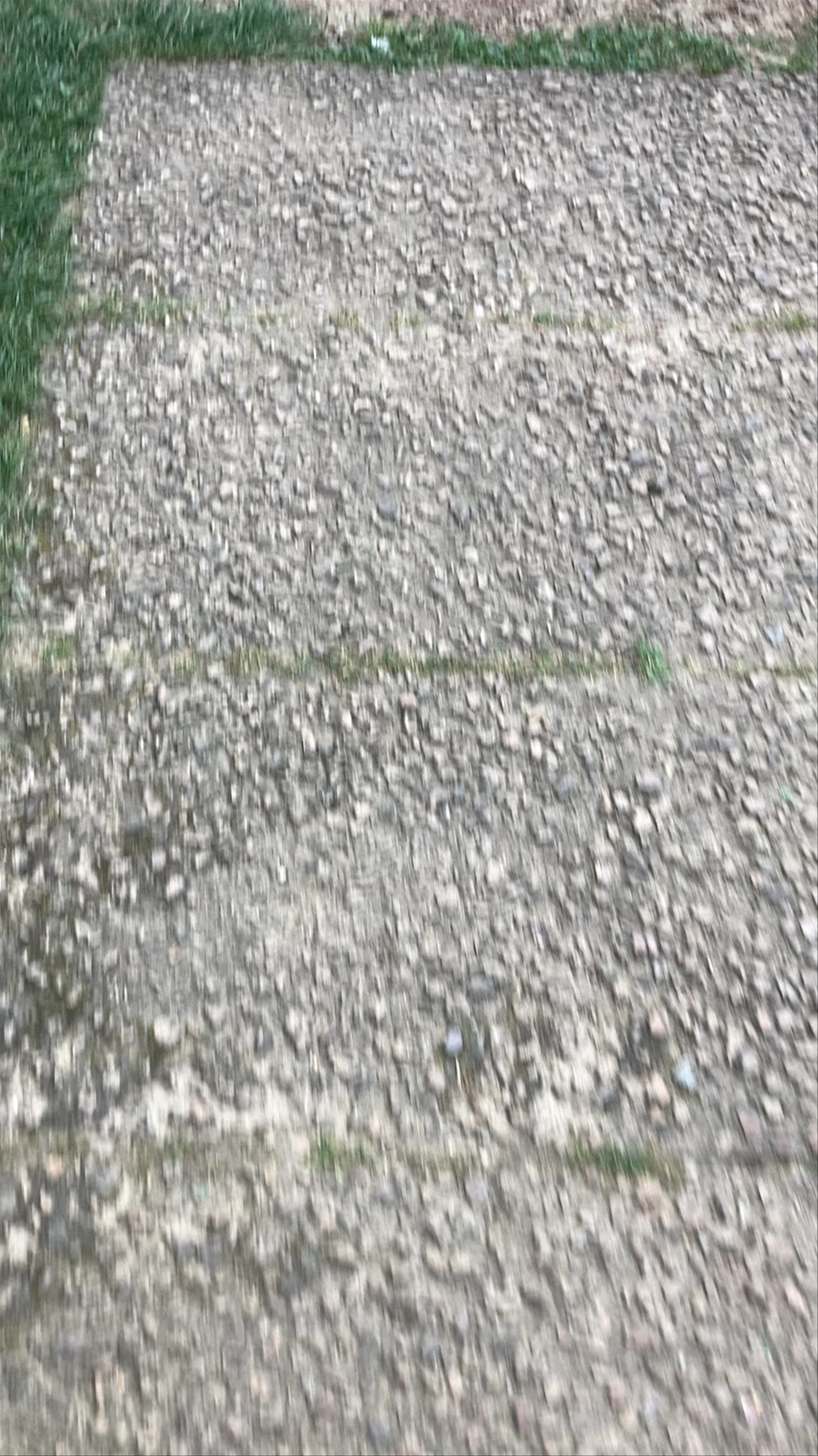 Jardin Archéologique