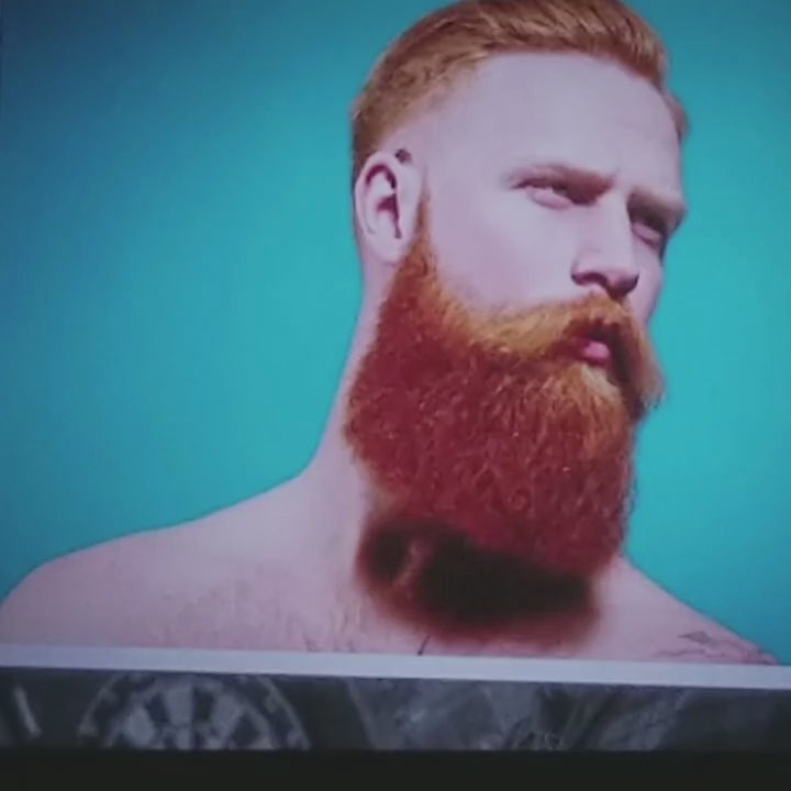The SoFo Tap - Gay Bars Near Me - Chicago, Illinois