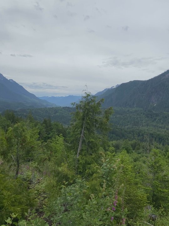Heybrook County Park Trailhead - Great little 2 hour hike - Hiking Near Me - Index, Washington