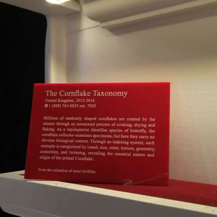 Mmuseumm - Awesome! - Museums Near Me - New York, New York