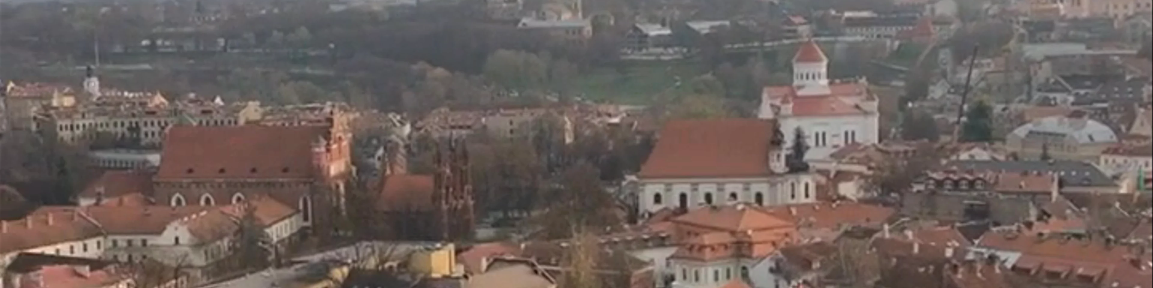 Gedimino pilies bokštas (Gediminas Castle Tower)