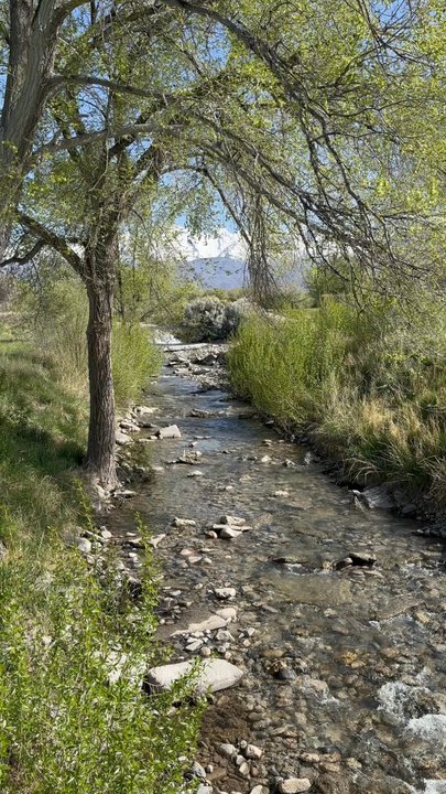 Fox Hollow - Golf Near Me - American Fork, Utah