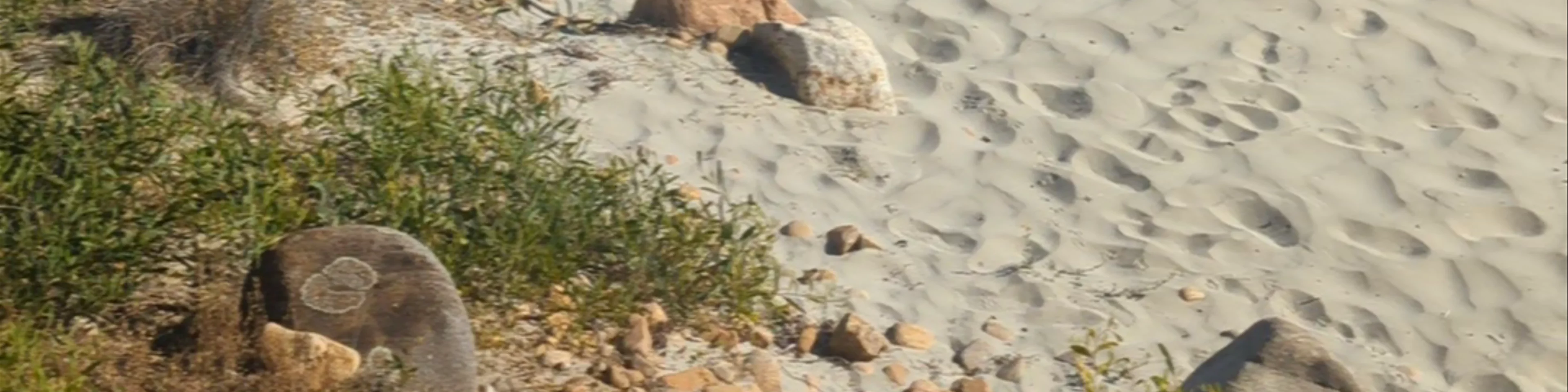 Meelup Beach
