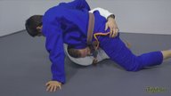 Leg Bundle Upa Sweep