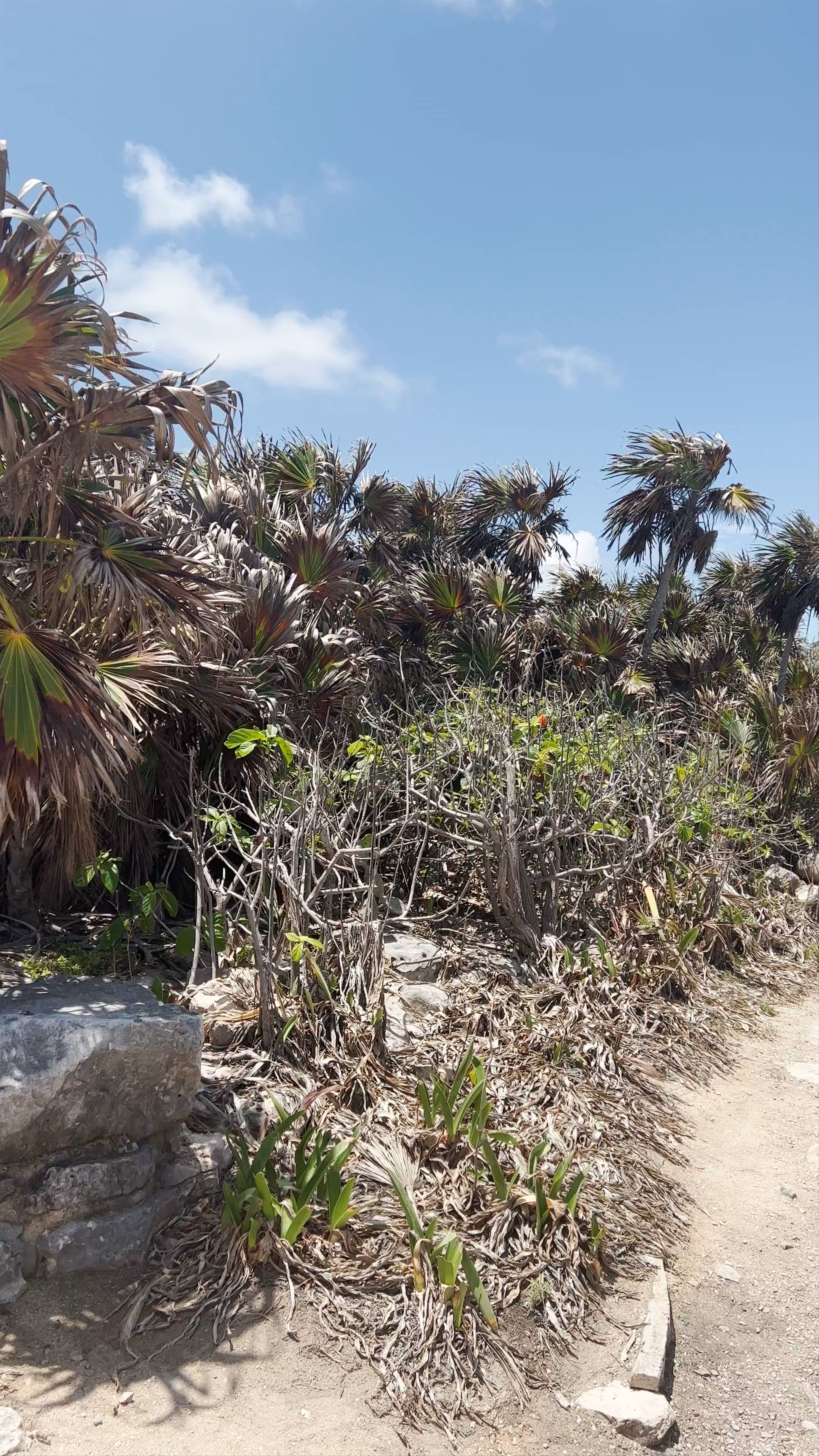 Tulum Archaeological Zone