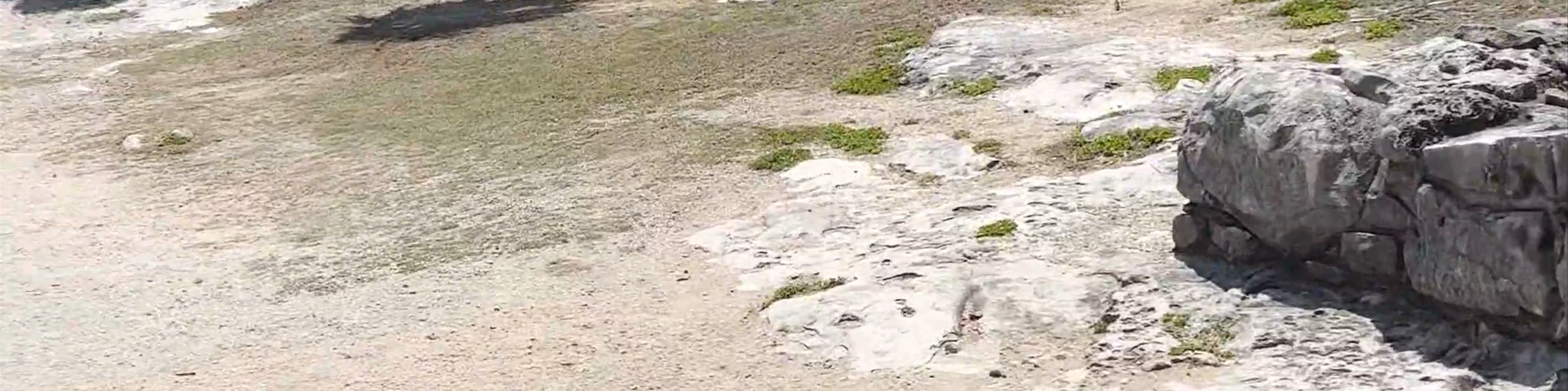 Tulum Archaeological Zone