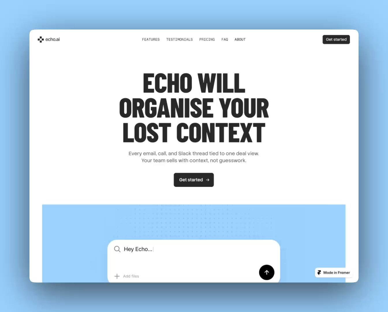 Echo Agent