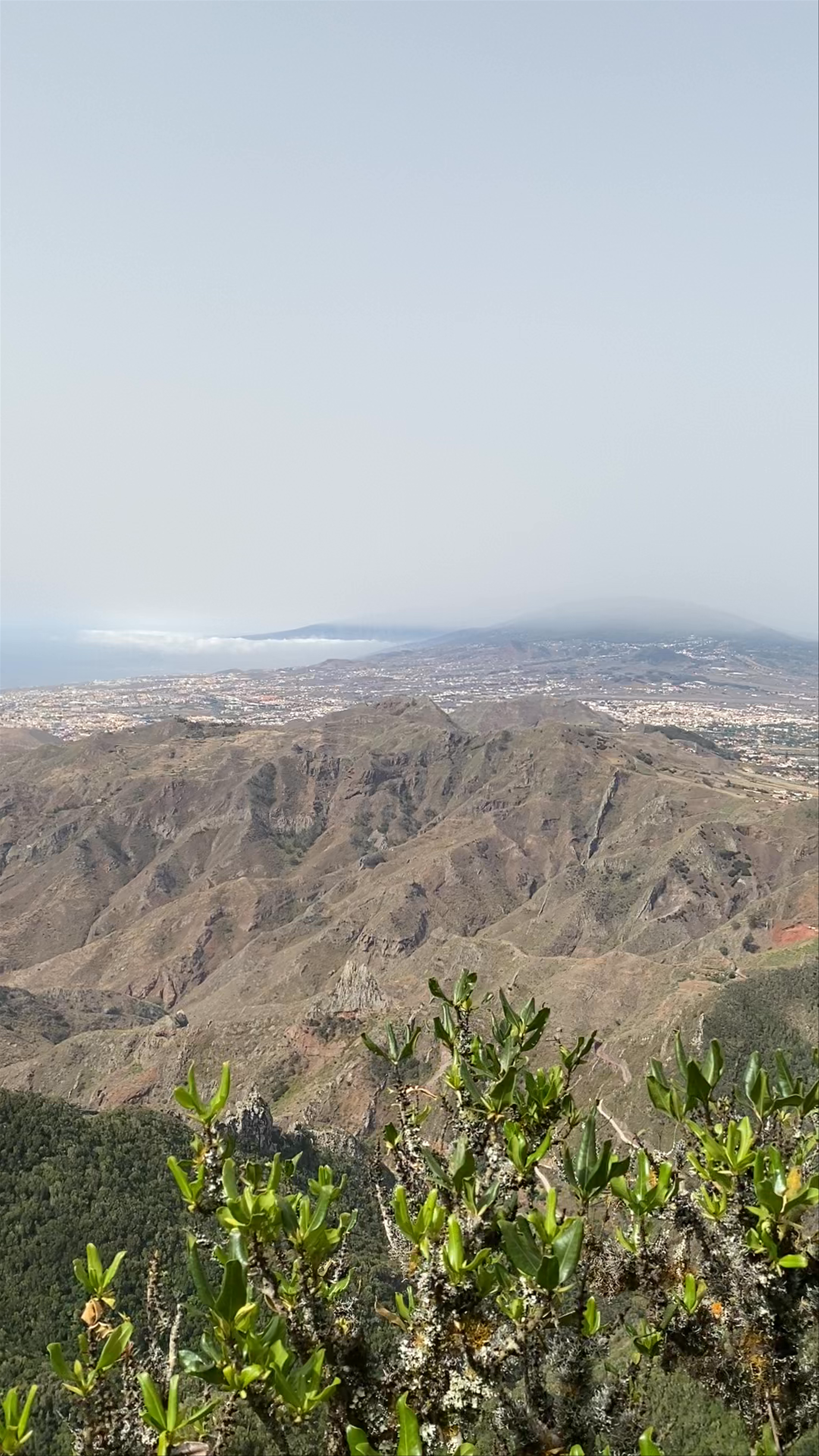 Mirador Pico del Inglés: Panoramic Mountain Views in Tenerife