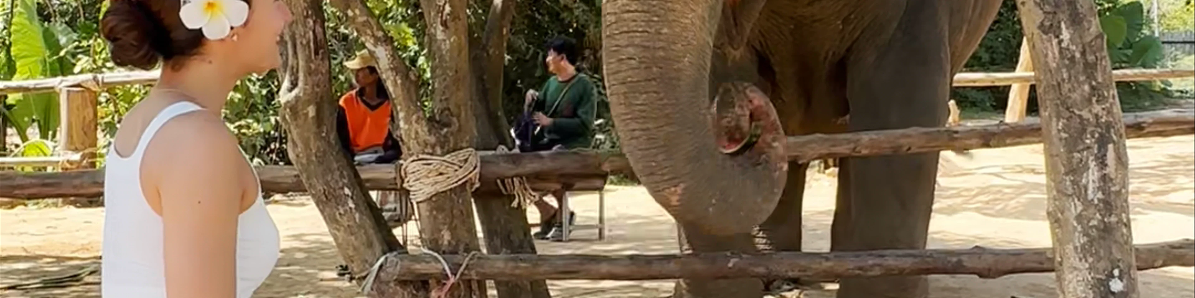Phuket Elephant Sanctuary