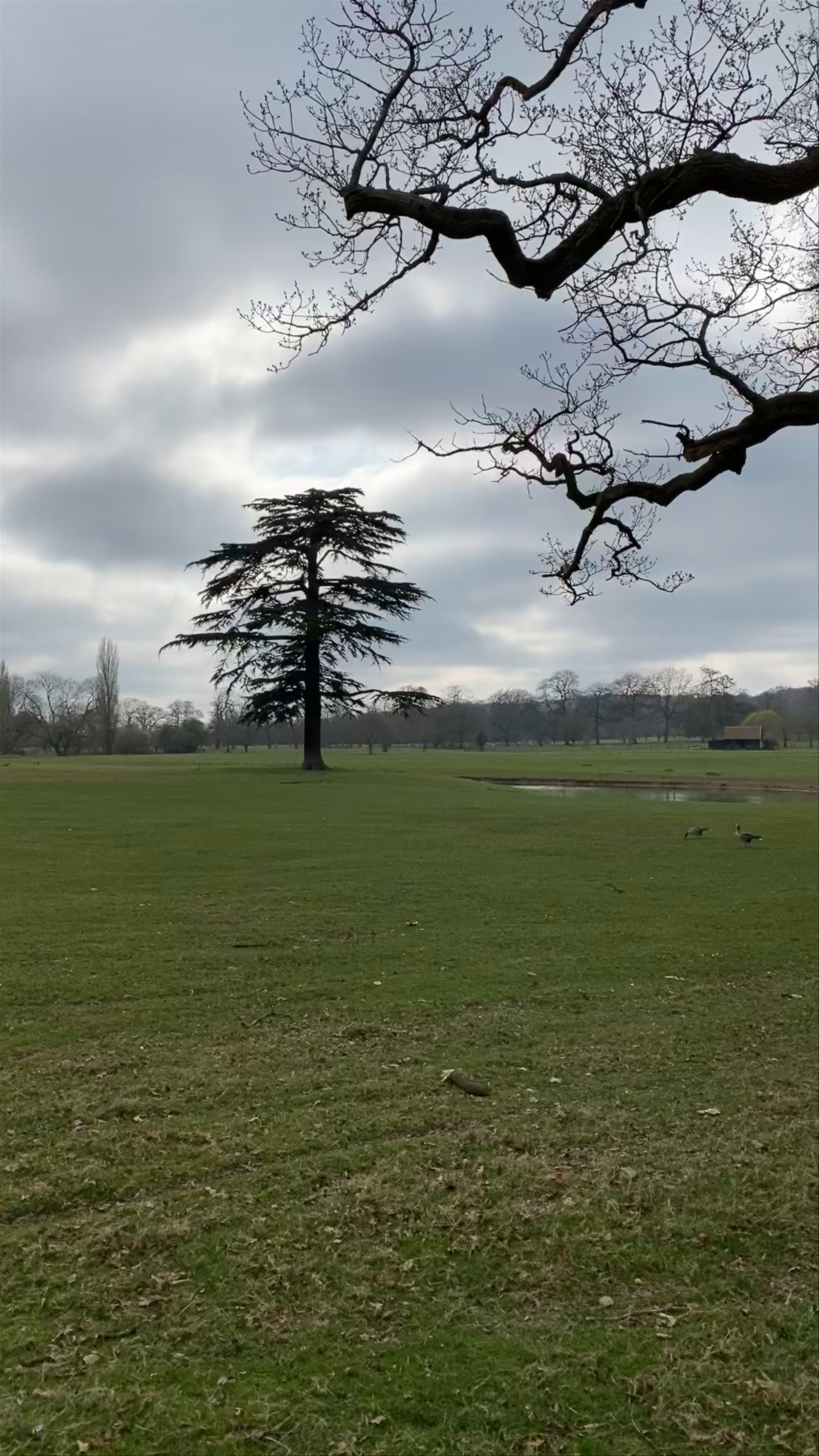 Tranquil Escape at Englefield Estate, Reading