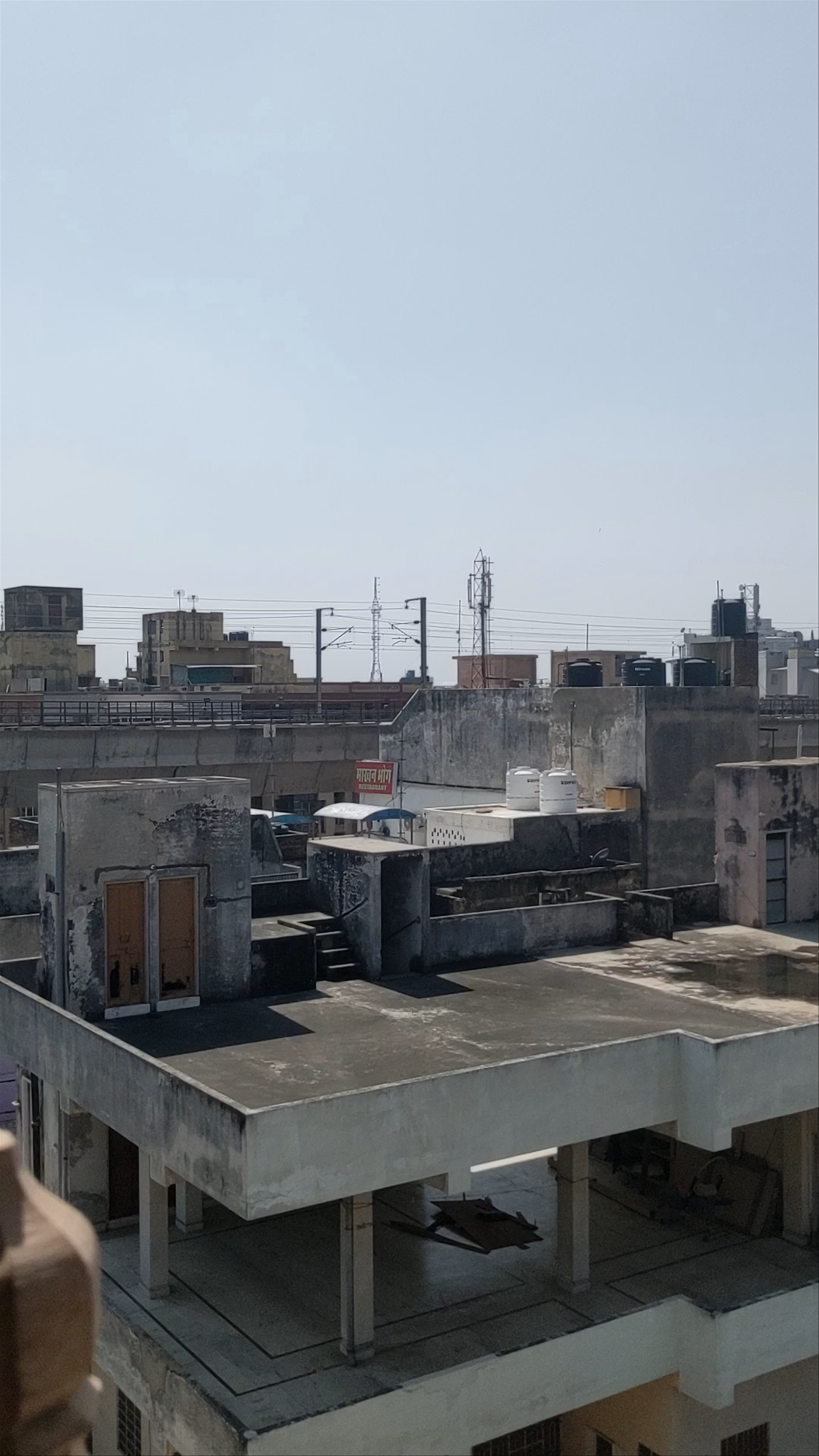 Gypsy Monkey Rooftop Cafe Experience in Jaipur, Rajasthan