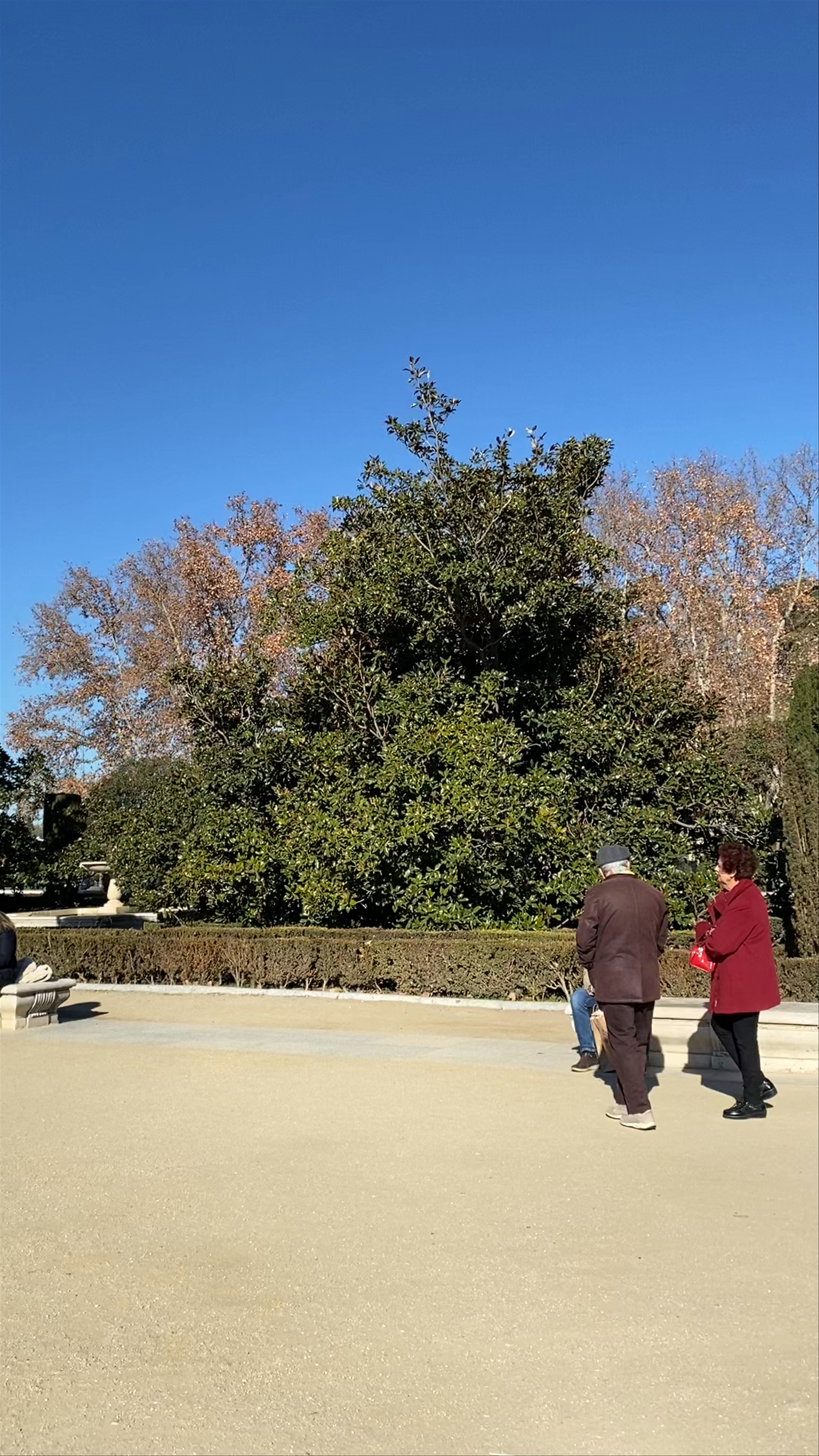 Monumento Ecuestre a Felipe IV at Plaza de Oriente, Madrid