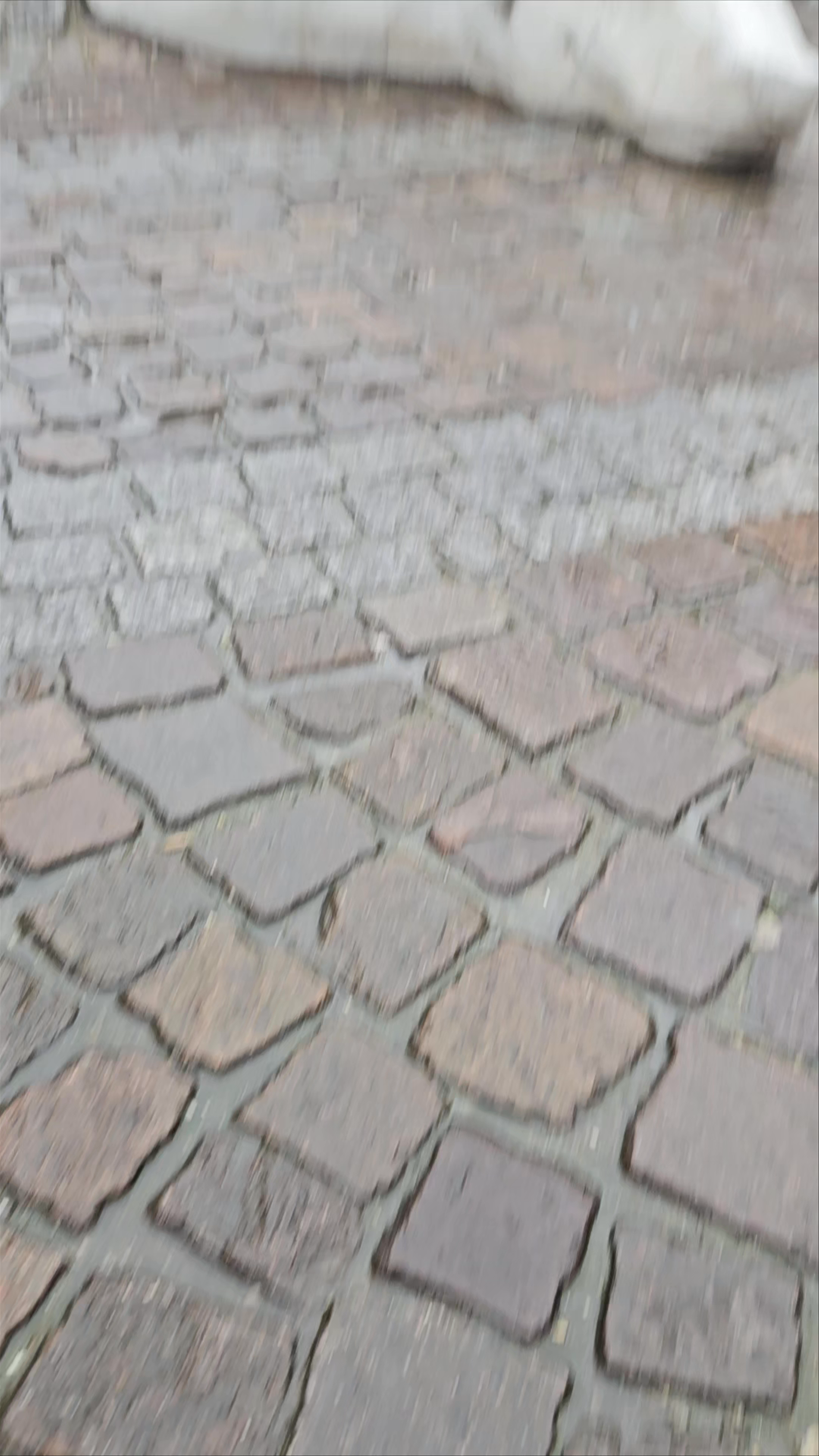 Nello & Patrasche Statue