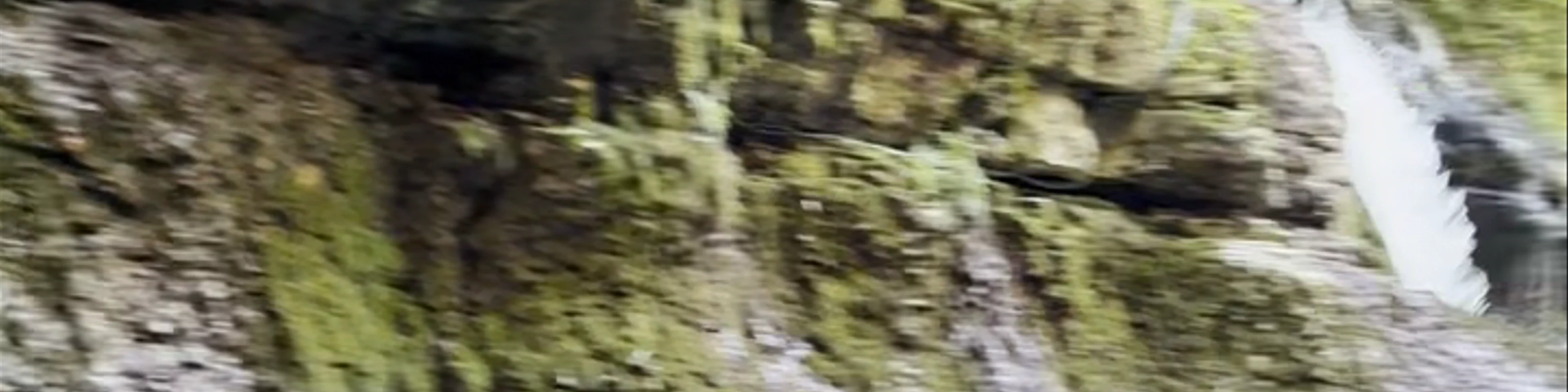 Martvili Canyon