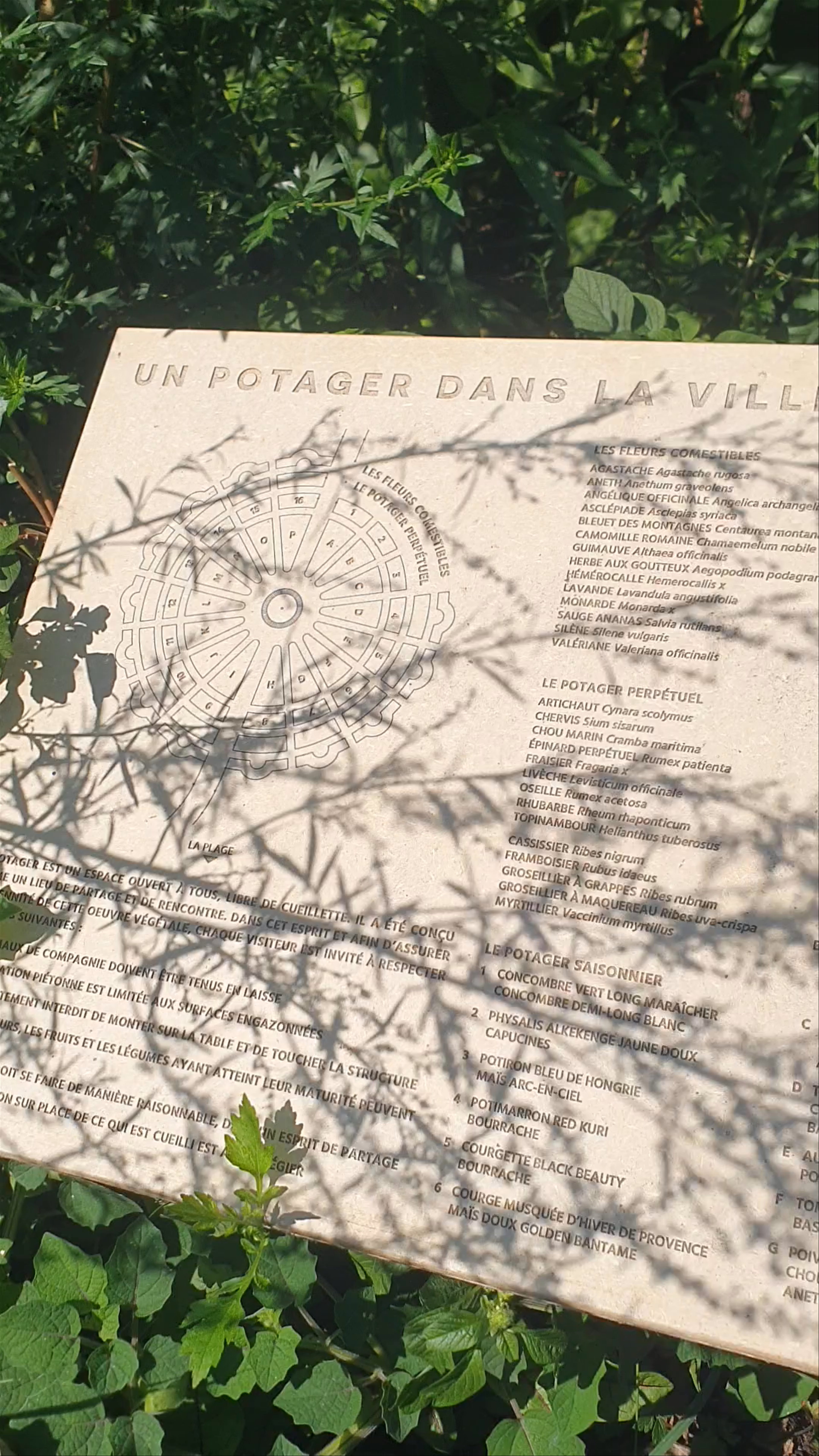 Urban Garden Escape in Annecy: A Hidden Oasis of Green