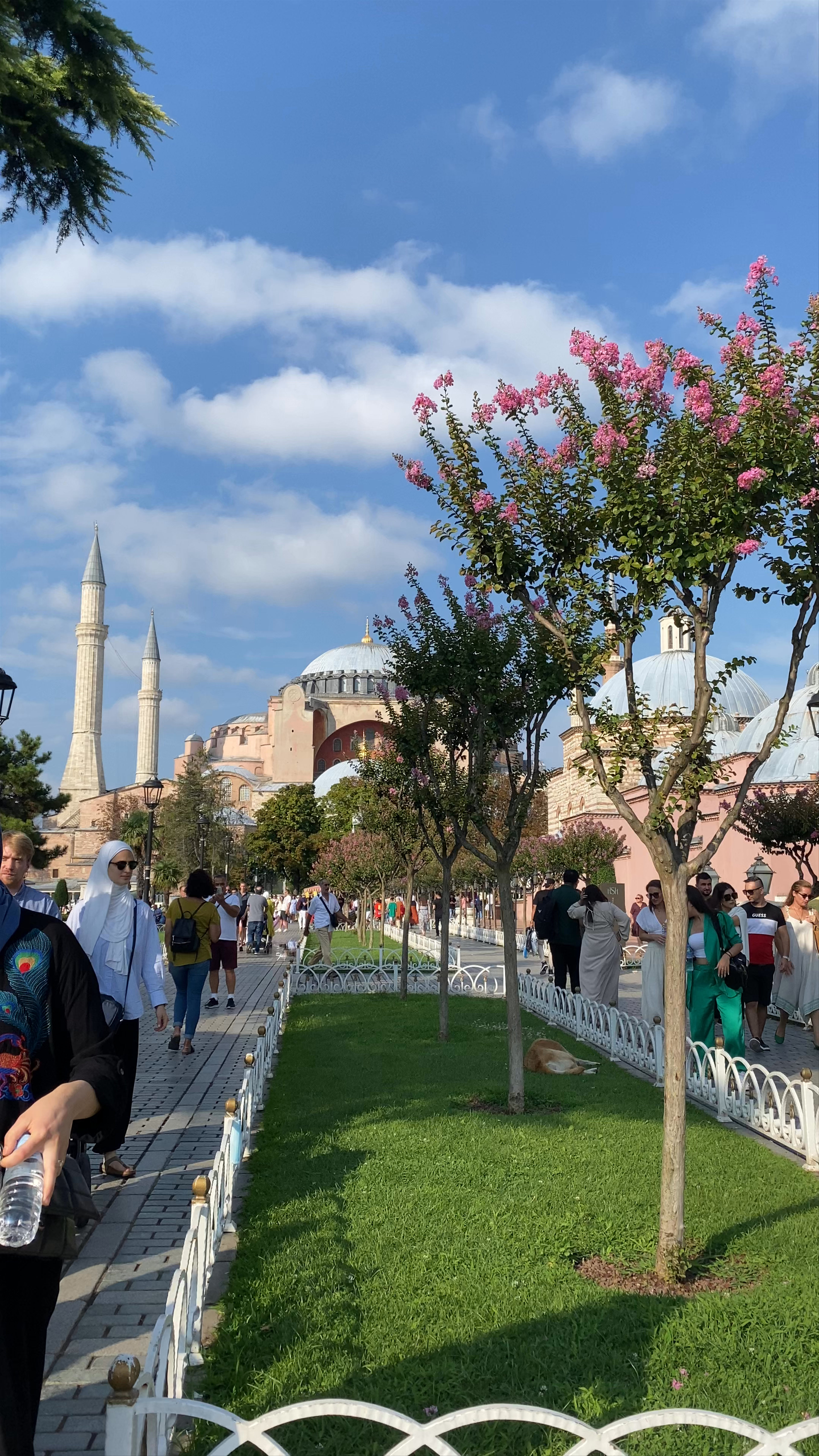 Exploring Sultan Ahmet Park in Istanbul: Historical Beauty and Bustling Life