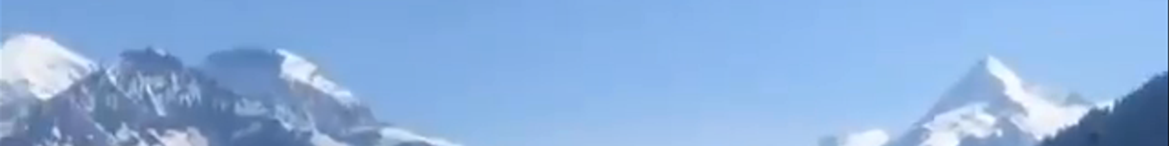 Tours & experiences in Zell am See