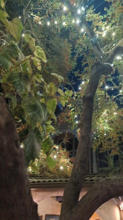 Kalachandji's - I was amazed by the beautiful outdoor setting. - Vegetarian Near Me - Dallas, Texas