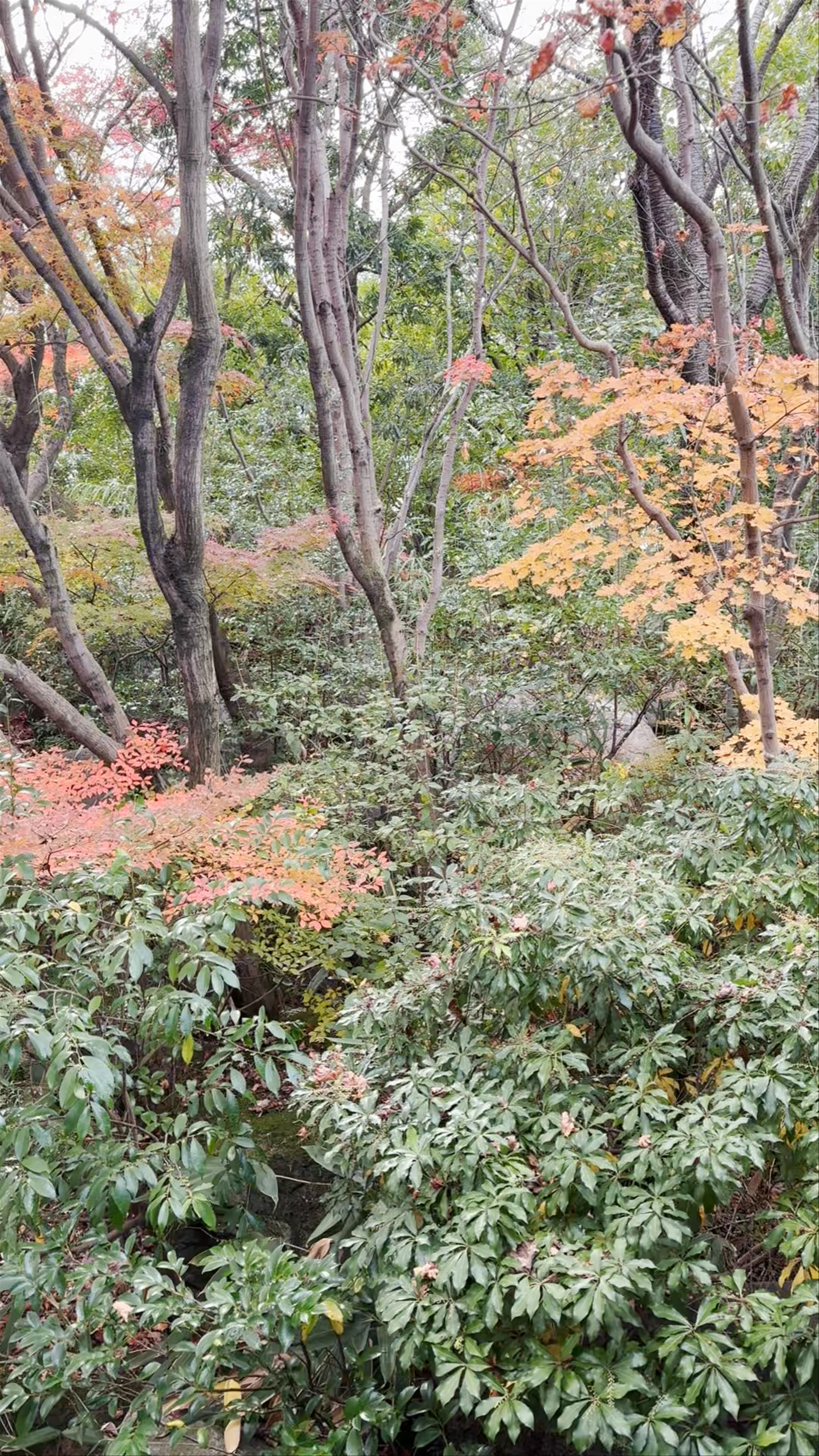 Himeji Park