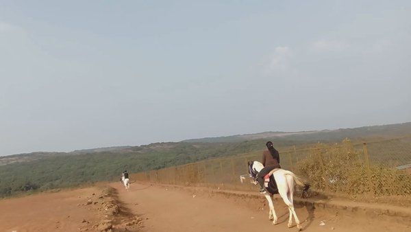 Photo of Horse Riding Near Ma