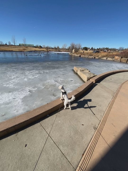 Utah Park - Parks Near Me - Aurora, Colorado