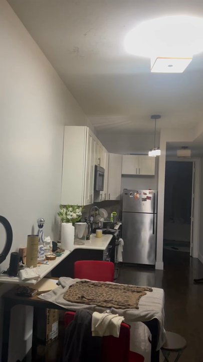 YHT Management - Rat making noise - Property Management Near Me - Brooklyn, New York