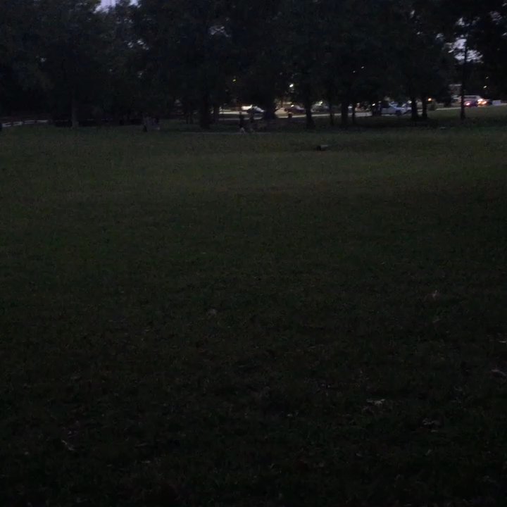 Heritage Park - Fireflies! - Parks Near Me - Chattanooga, Tennessee