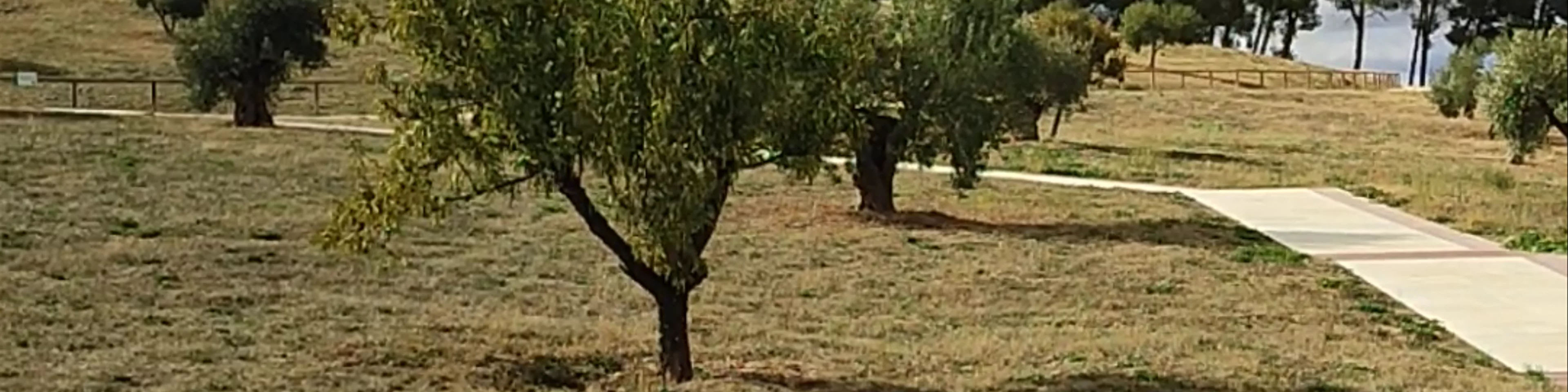 Dolmen Menga