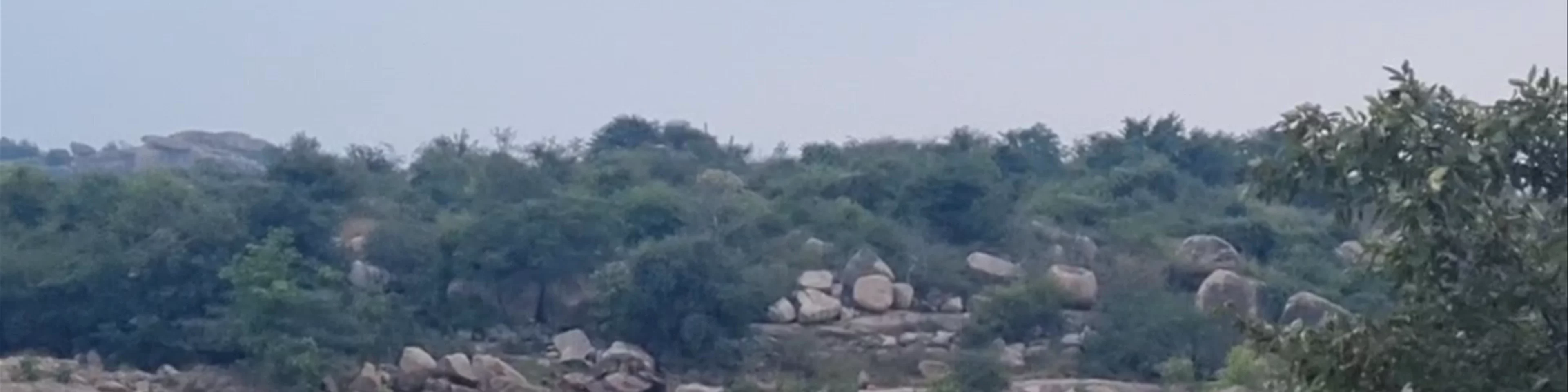 Hampi Falls