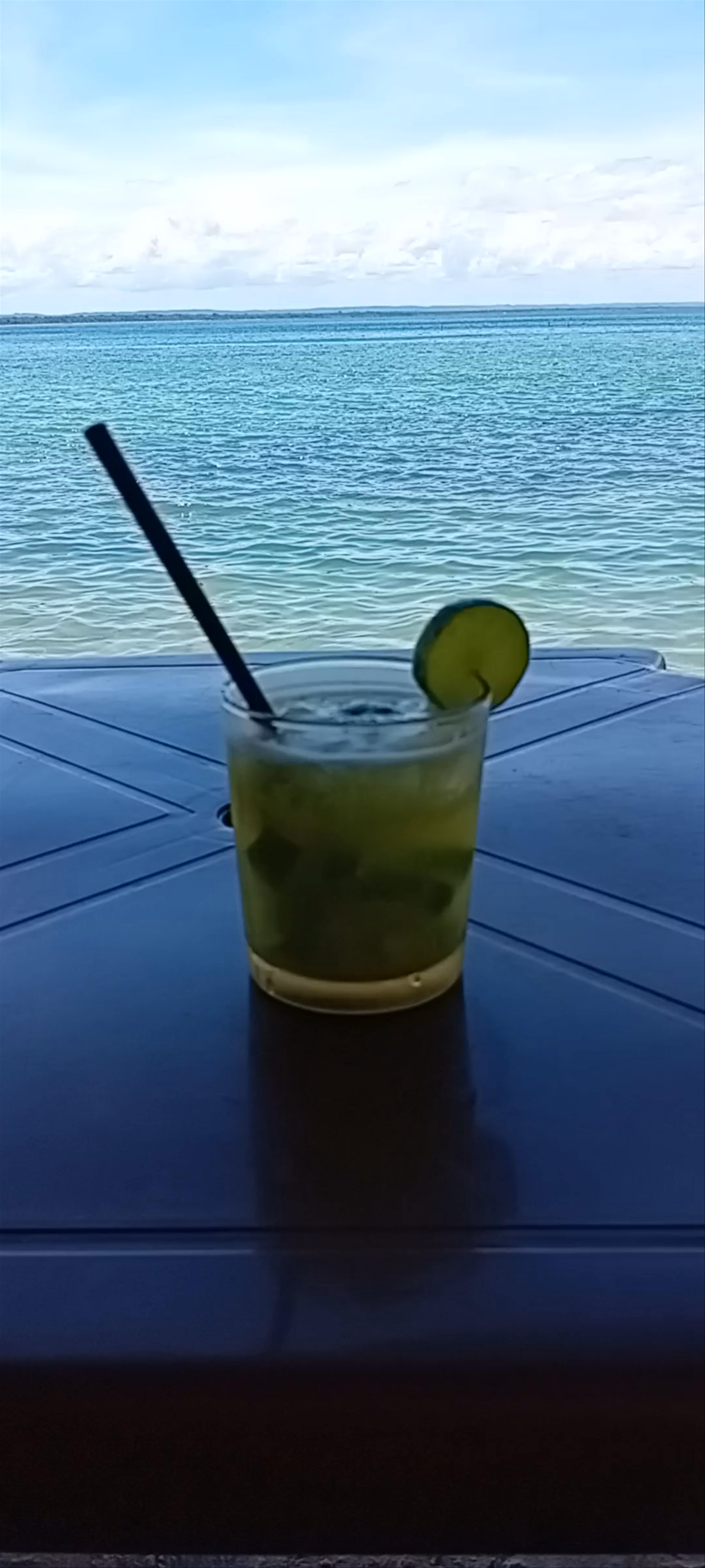 Monkey Beach Relaxing Escape - Cairu, Bahia, Brazil