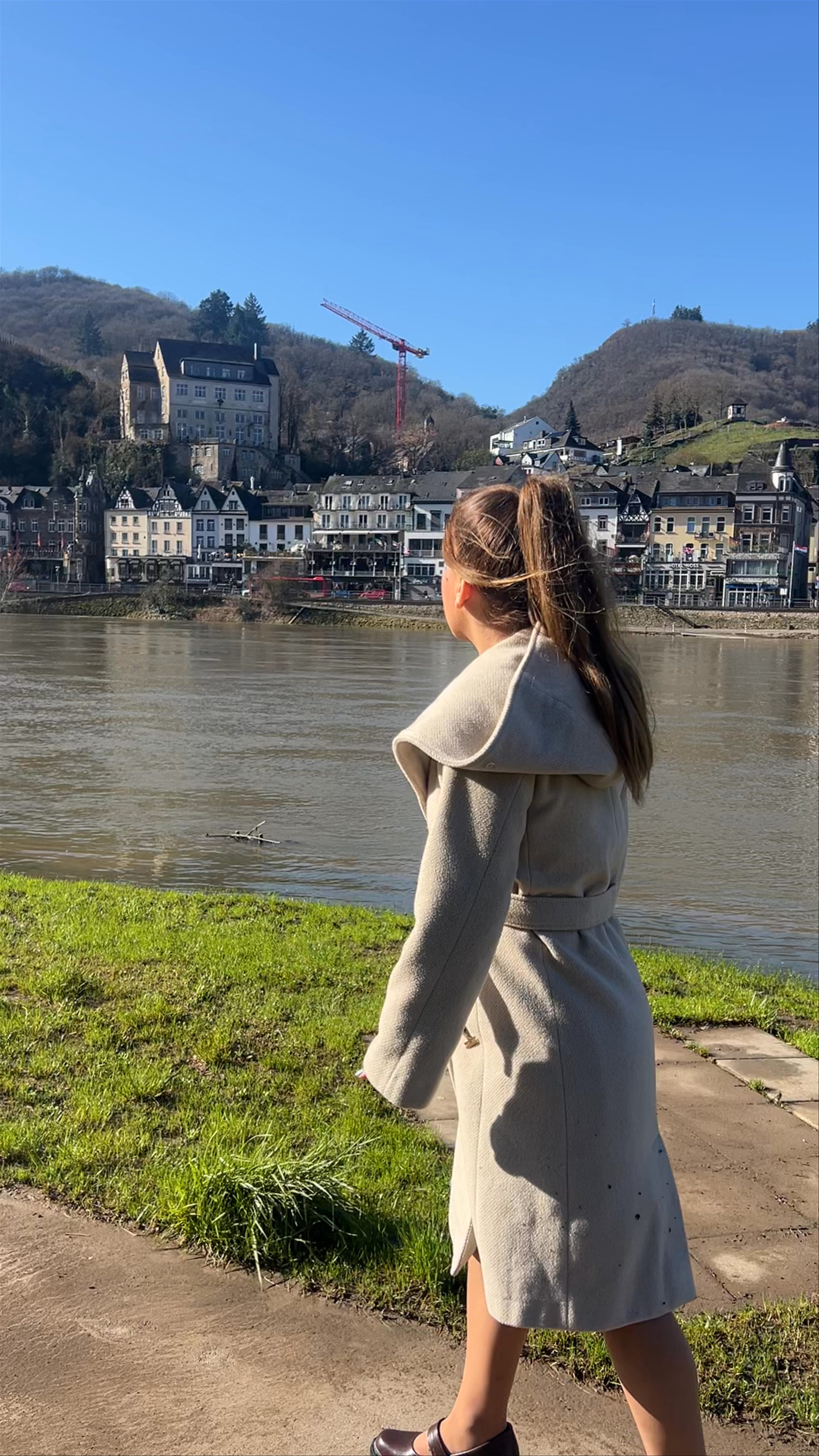 Viewpoint Cochem Castle