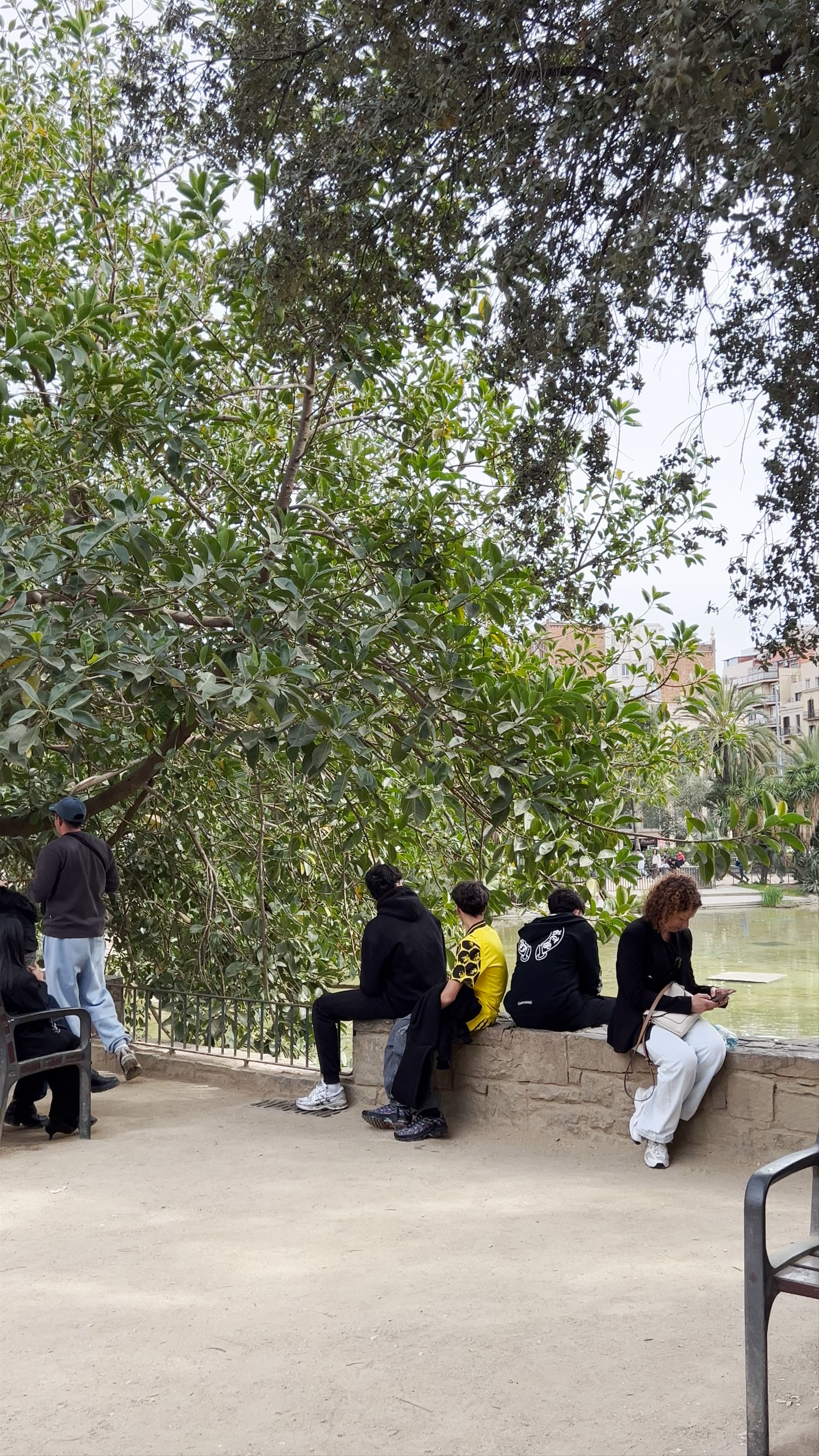Llacuna Municipal Rodríguez i Merino
