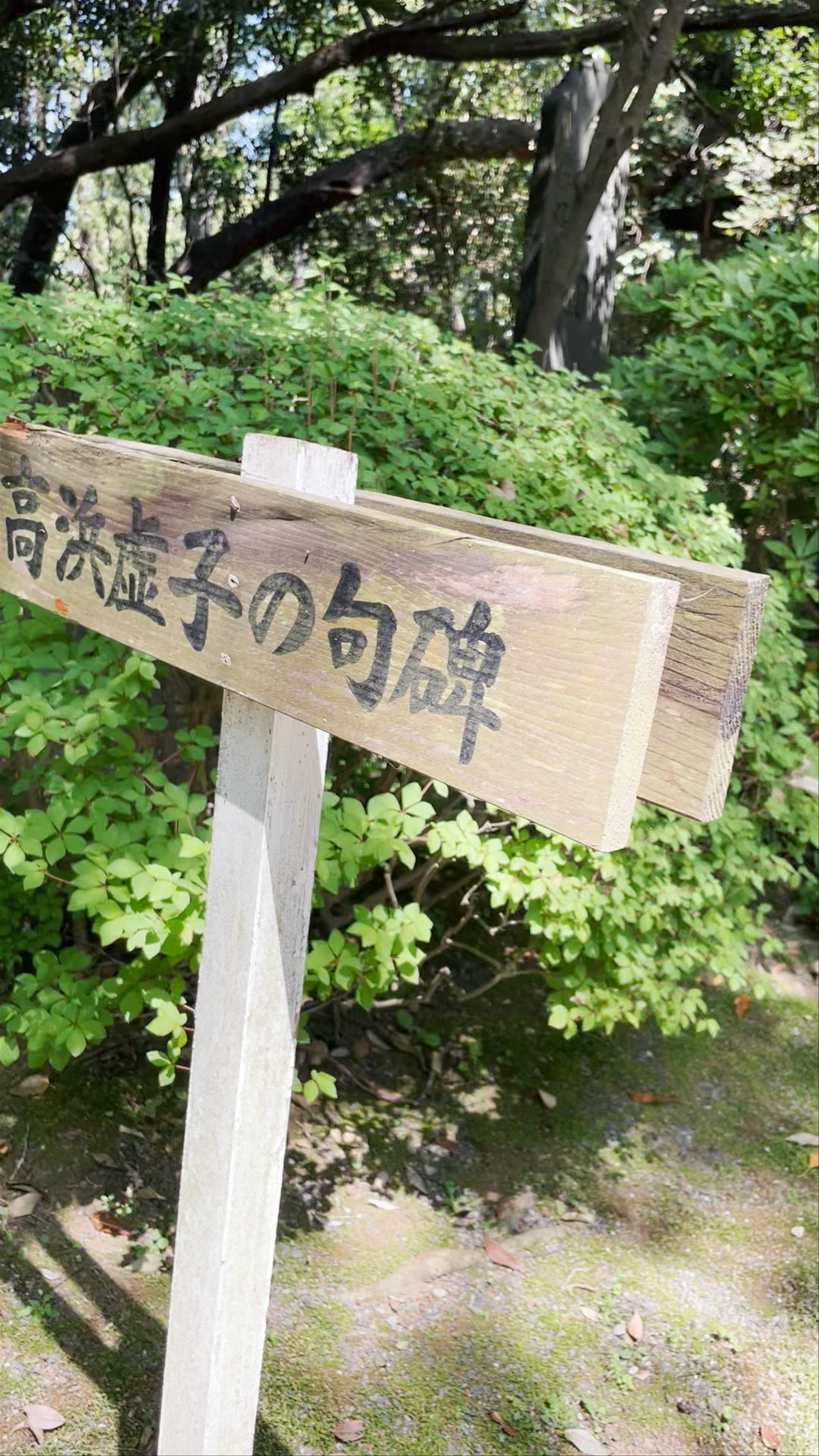 Takahama Kyoshi's Haiku Monument