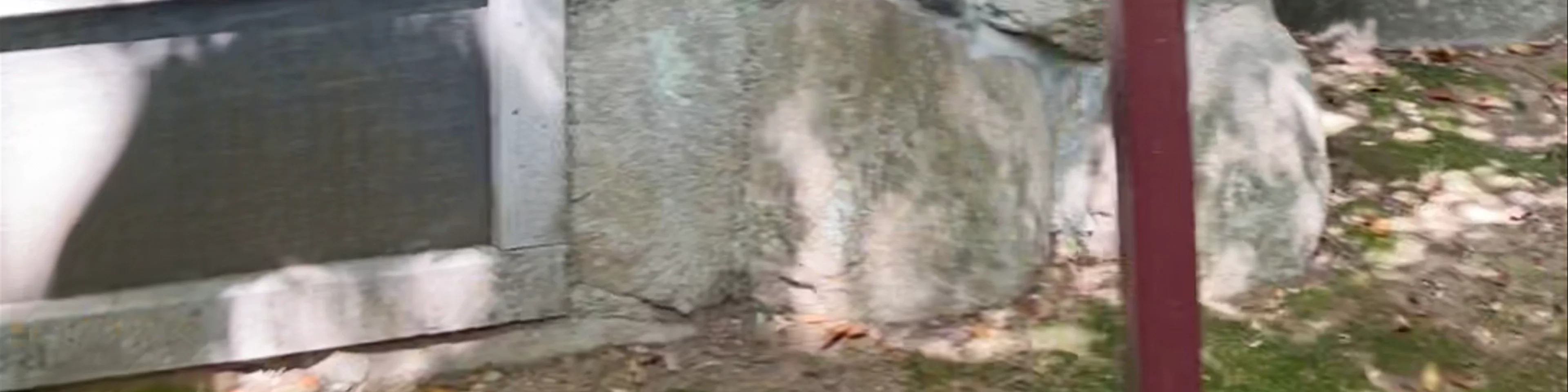 Takahama Kyoshi's Haiku Monument