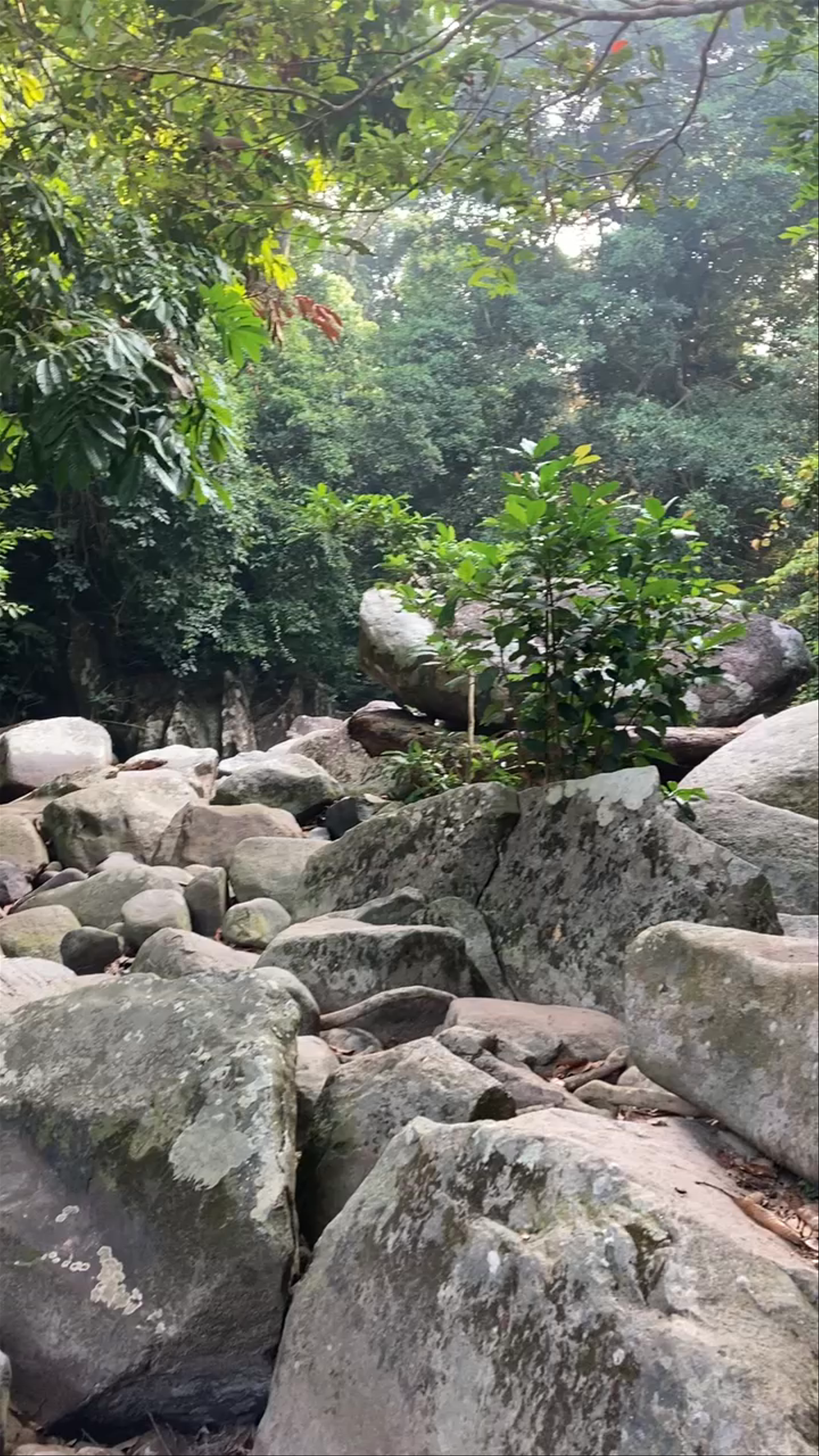 Lubuk Teja Waterfall