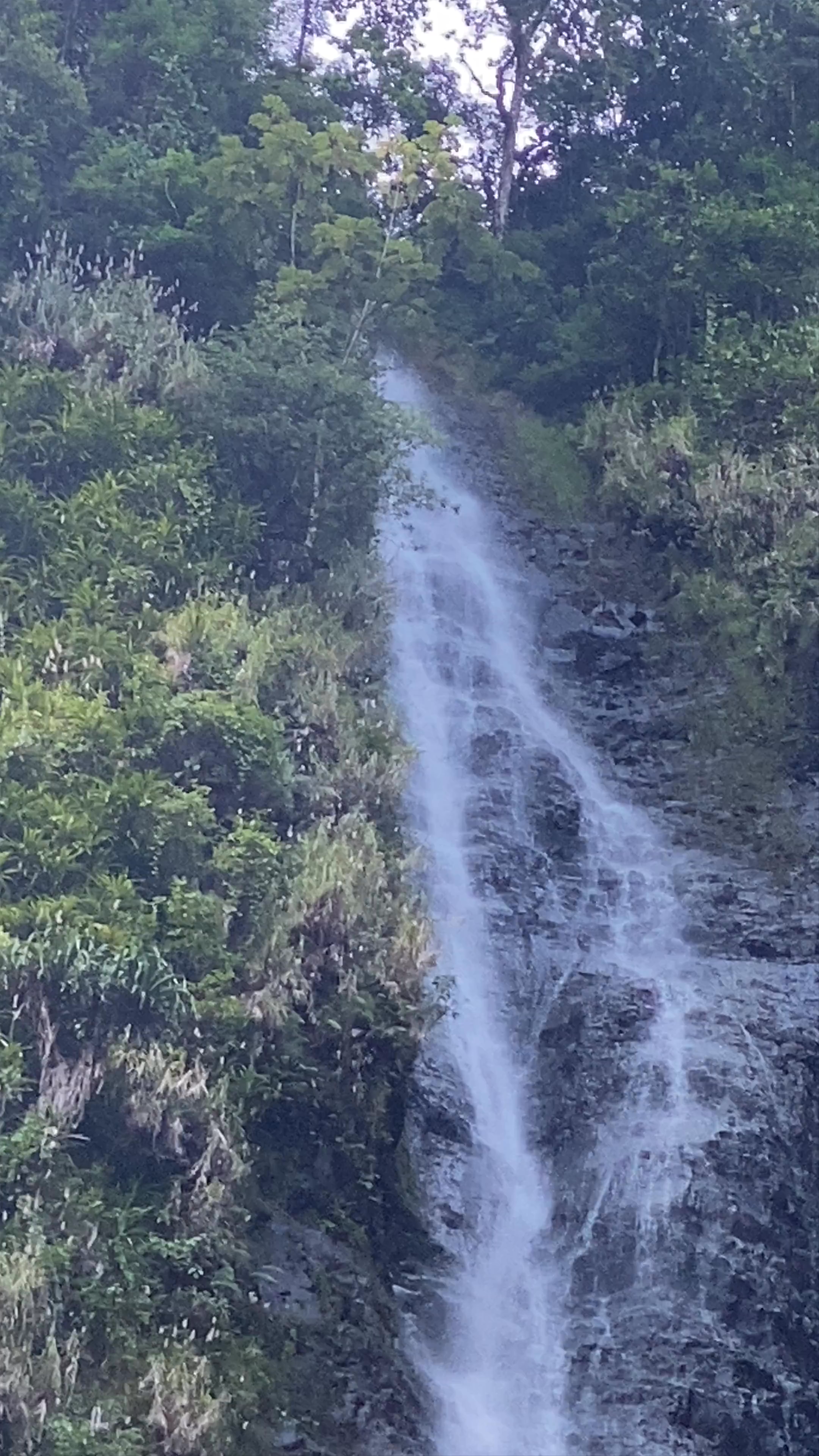 Faarumai Valley Waterfall Serenity in Hitiaʻa O Te Ra, French Polynesia