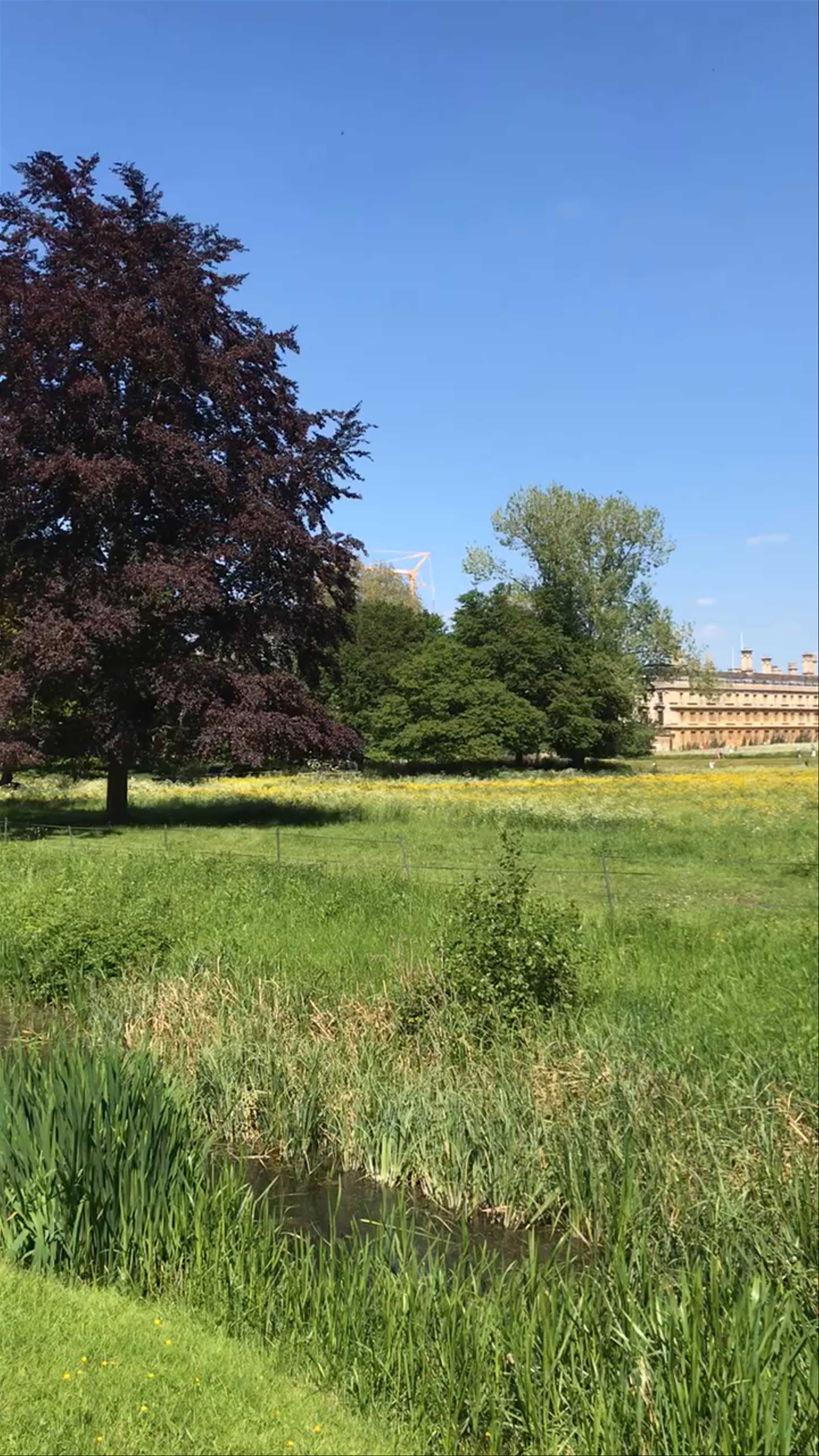 The Backs, Queen's Road: A Serene Green Escape in Cambridge