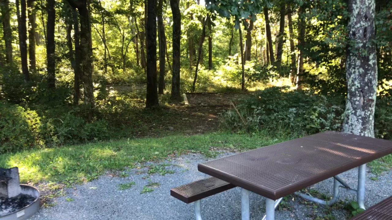 Mathews Arm Campground - Campgrounds Near Me - Rileyville, Virginia