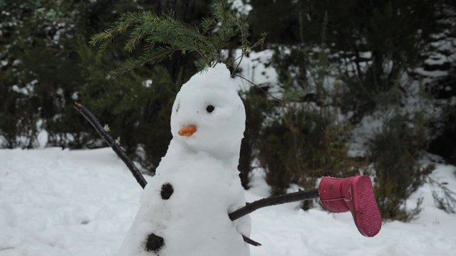 Snowman in the forest