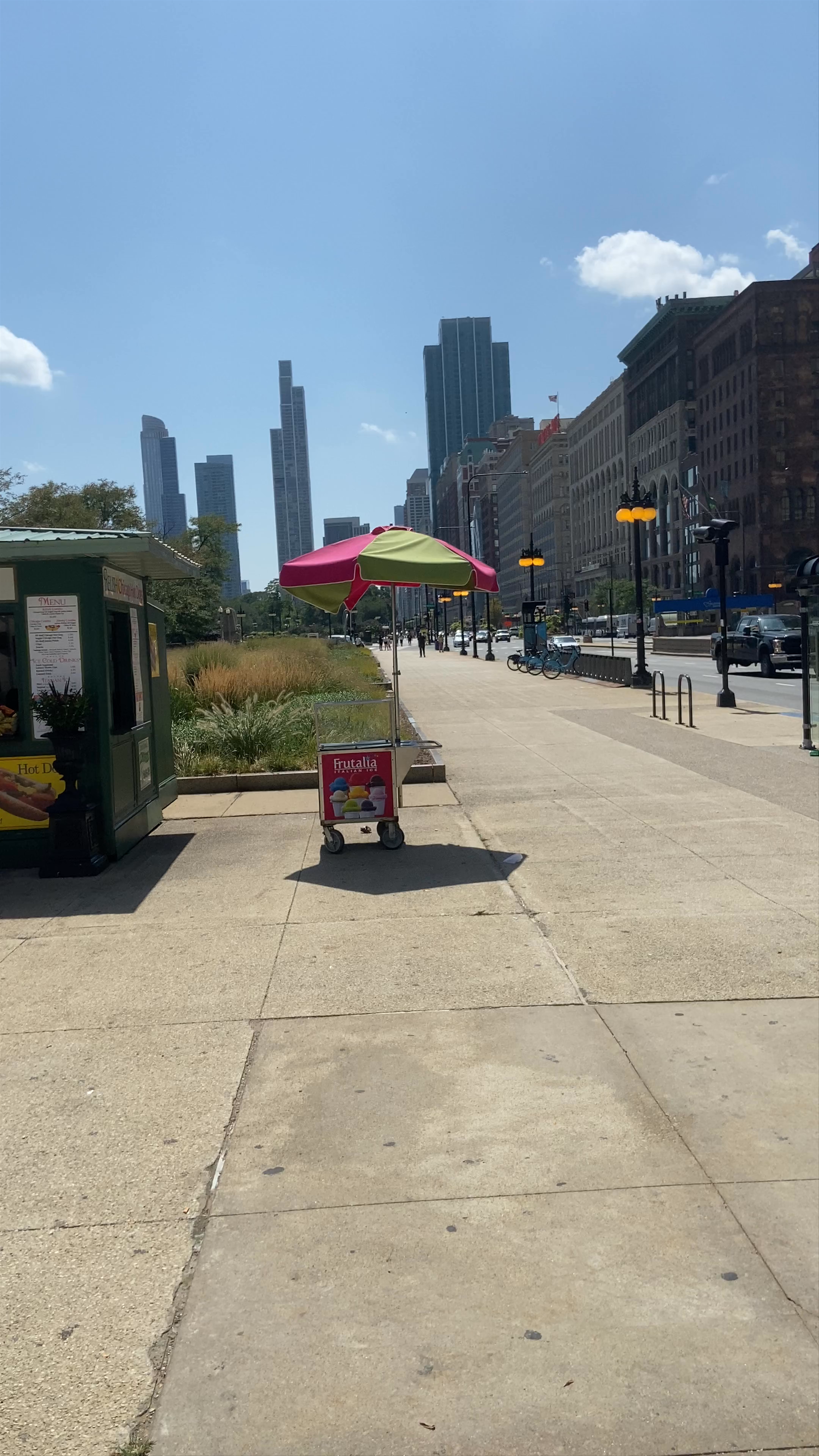 Relish Chicago Hot Dogs on South Michigan Avenue