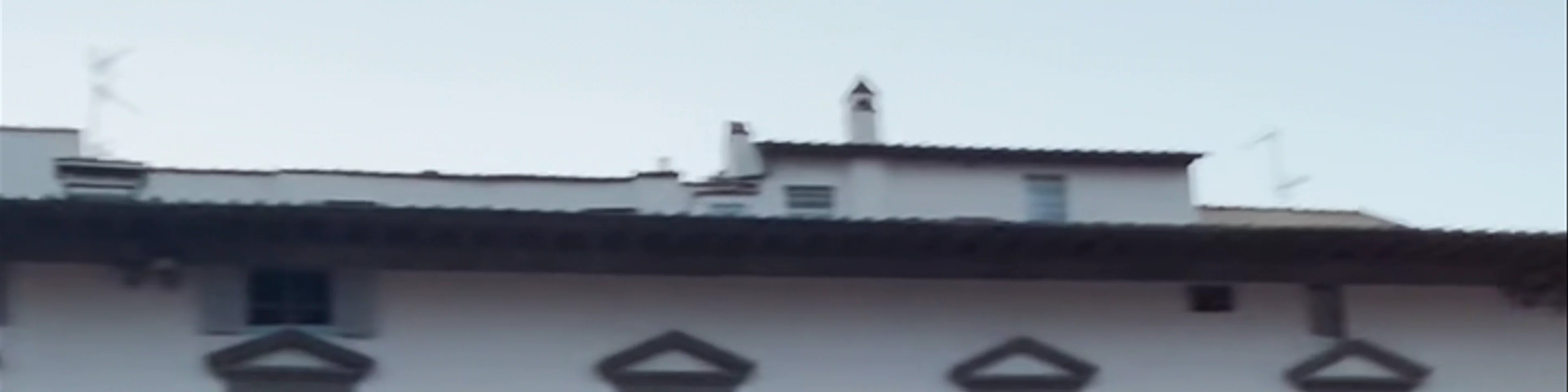 La SS. Annunziata di Firenze
