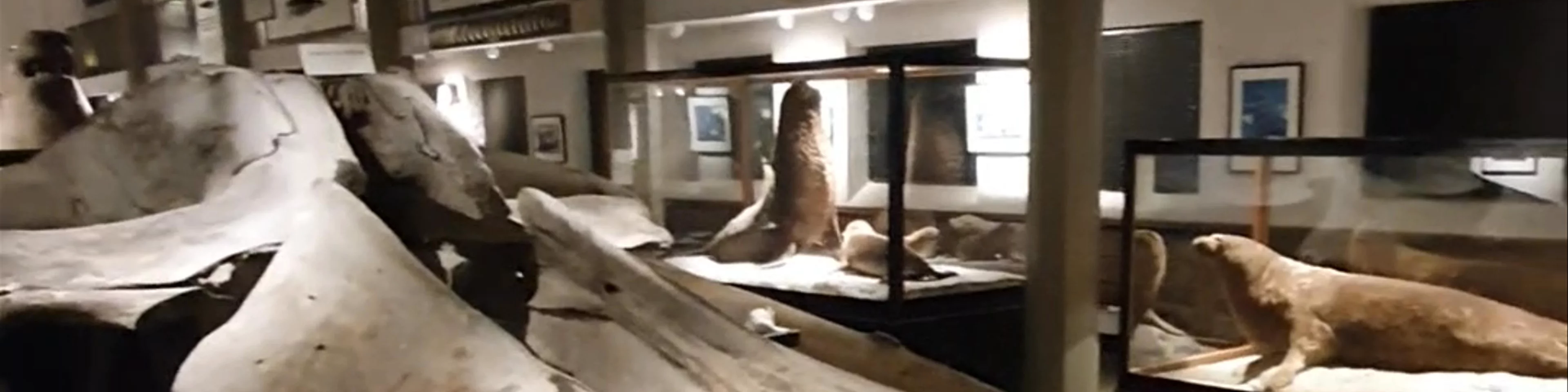 Sandefjord Museum