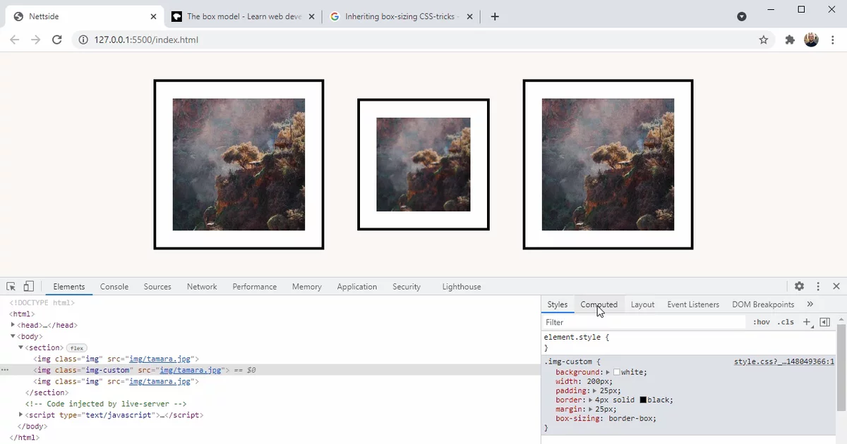Box-sizing i CSS forklart | Utdannet.no