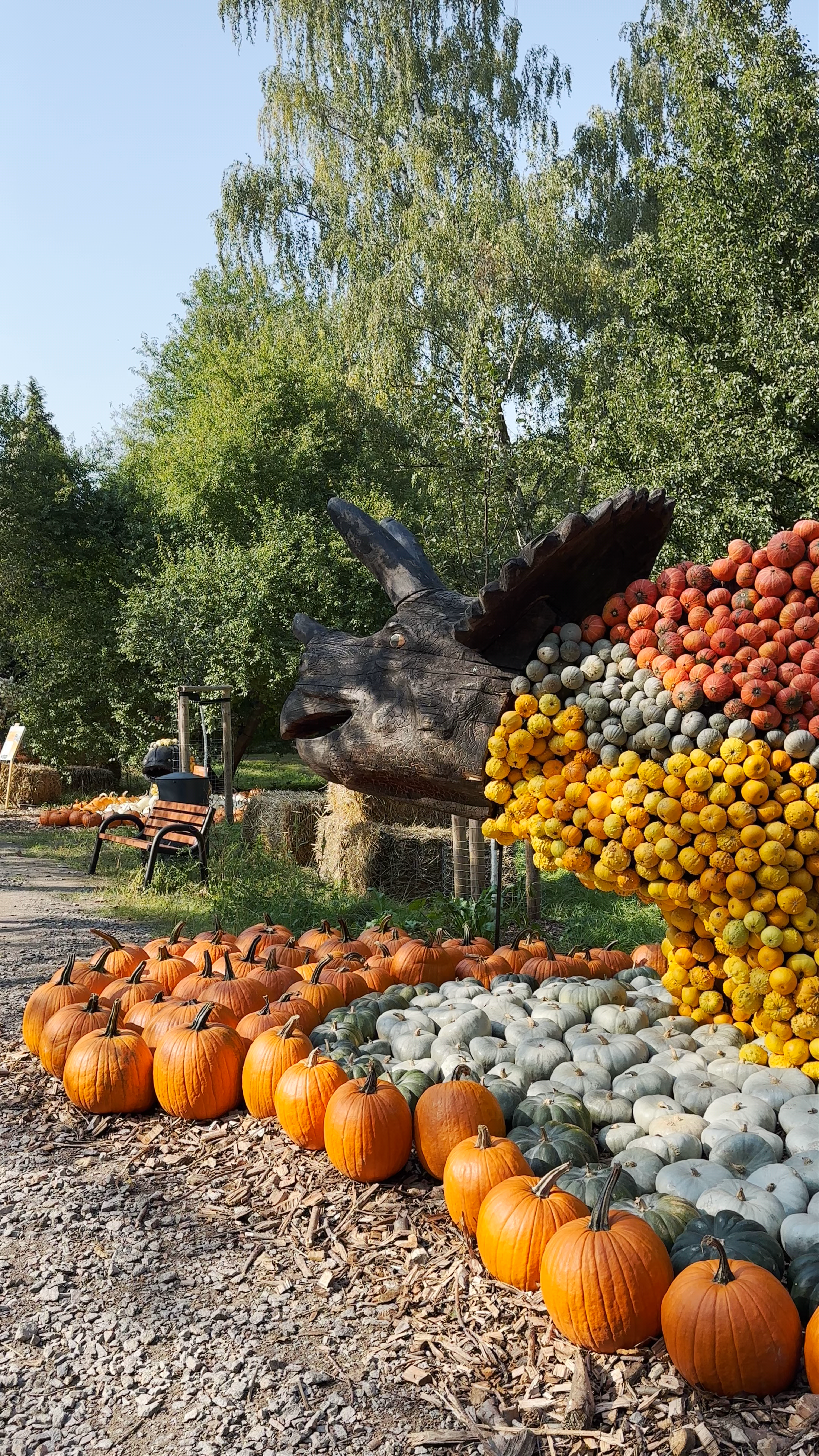 Autumn Pumpkin Dinosaur Art Installation in Freital, Germany