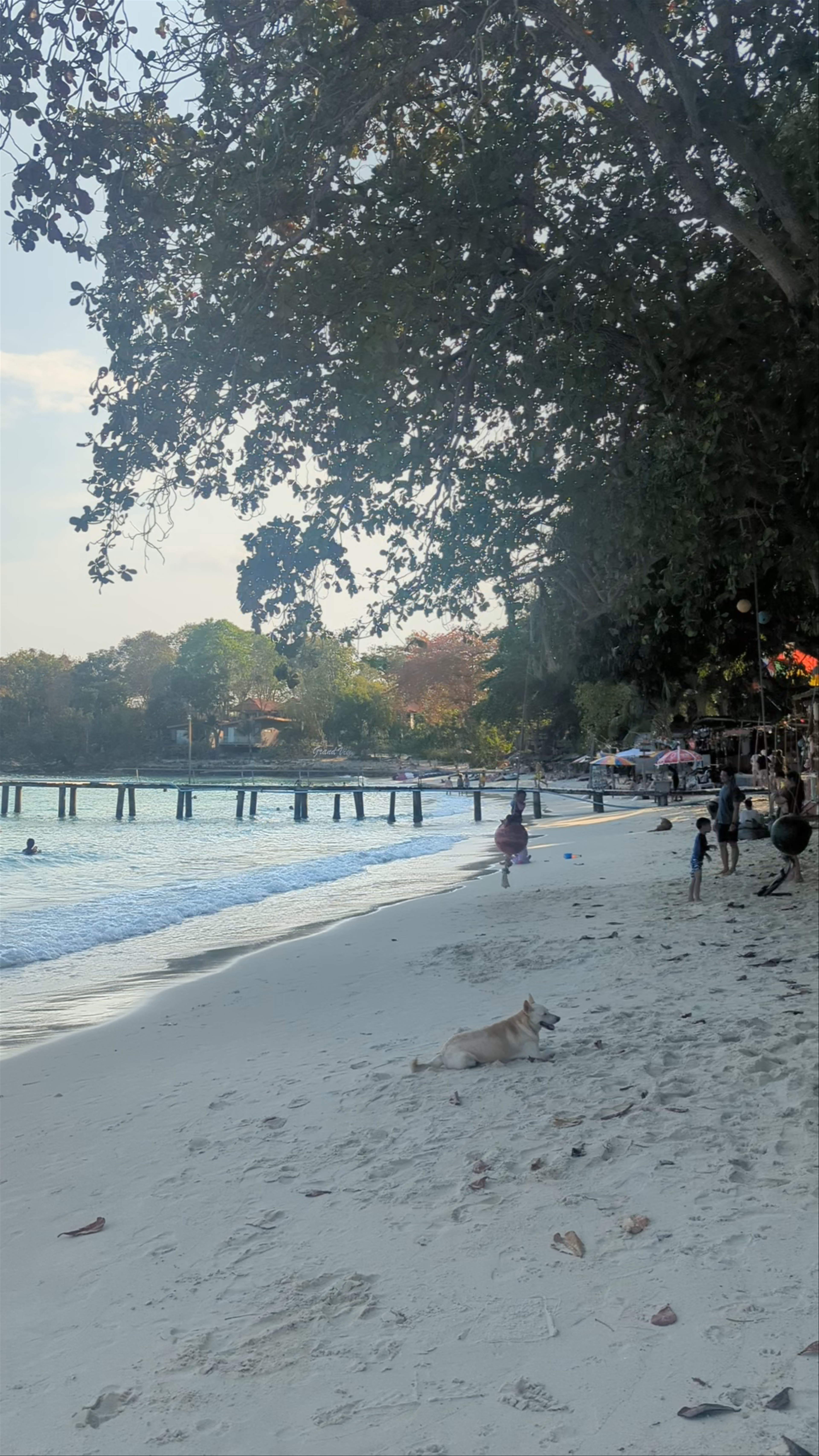 Ao Chor Beach: Tranquil Coastal Escape in Phe, Rayong