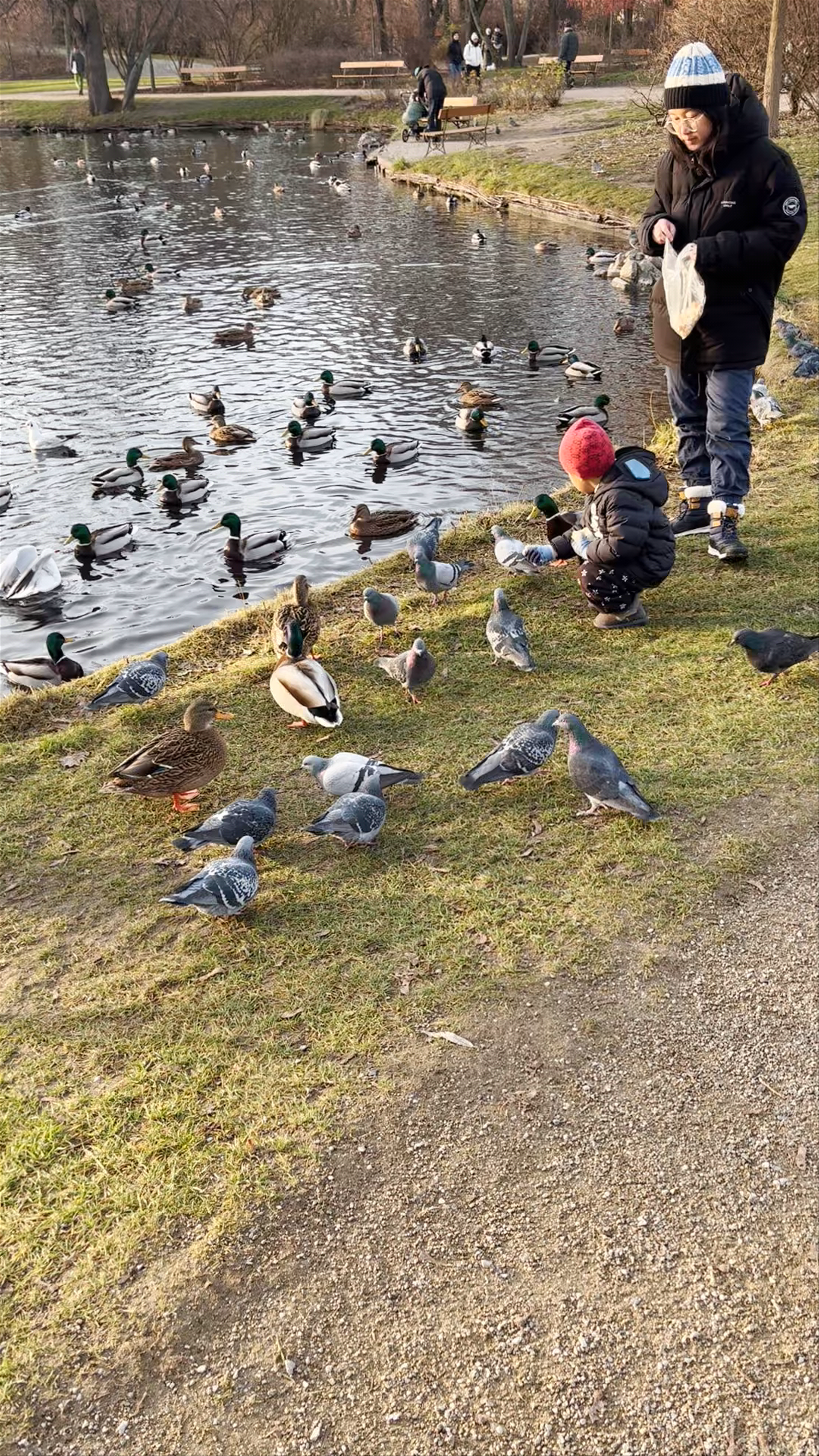 Winter Wonders at Krasiński Garden, Warsaw: A Tranquil Lakeside Escape