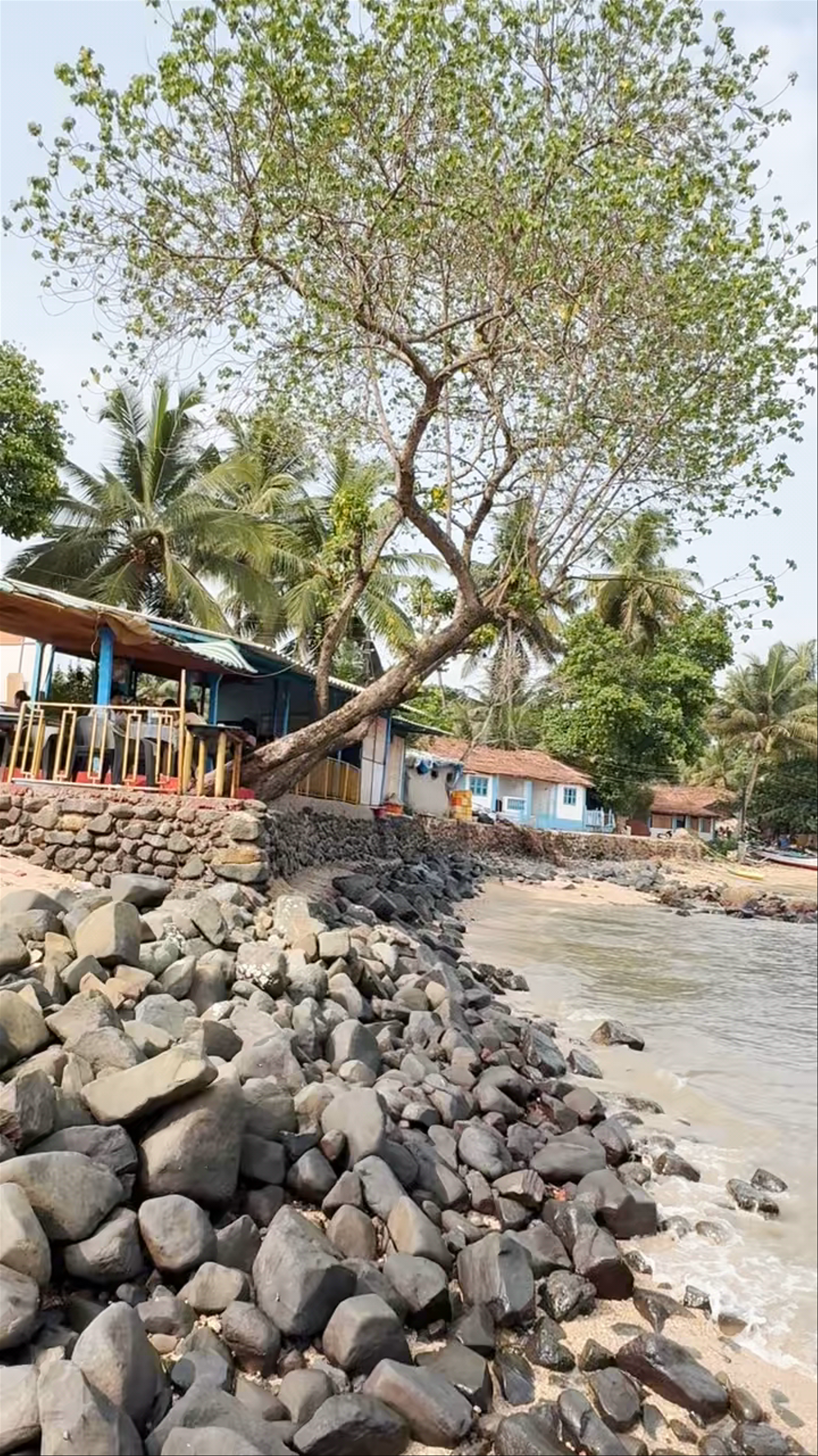 Aldron Beach Serenity: Secluded Shoreline in Goa, India