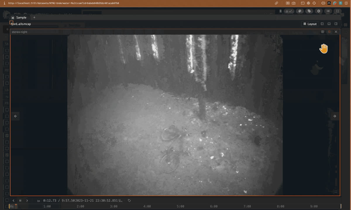 NTNU Underwater Multi-Camera in the FiftyOne multimodal viewer